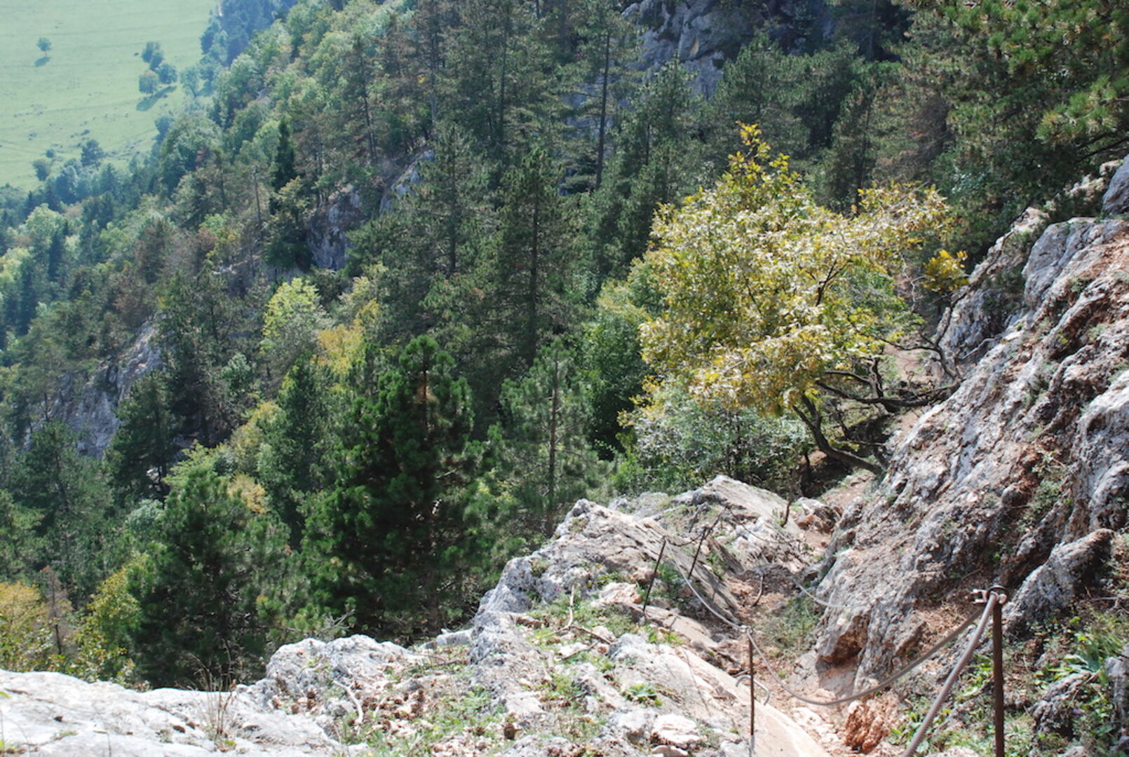 Alpiner Steig
