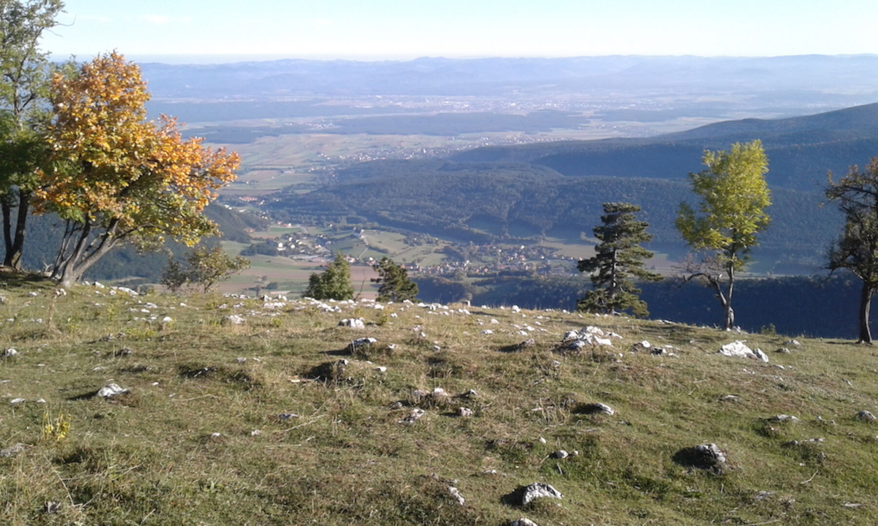 Gipfelwiese