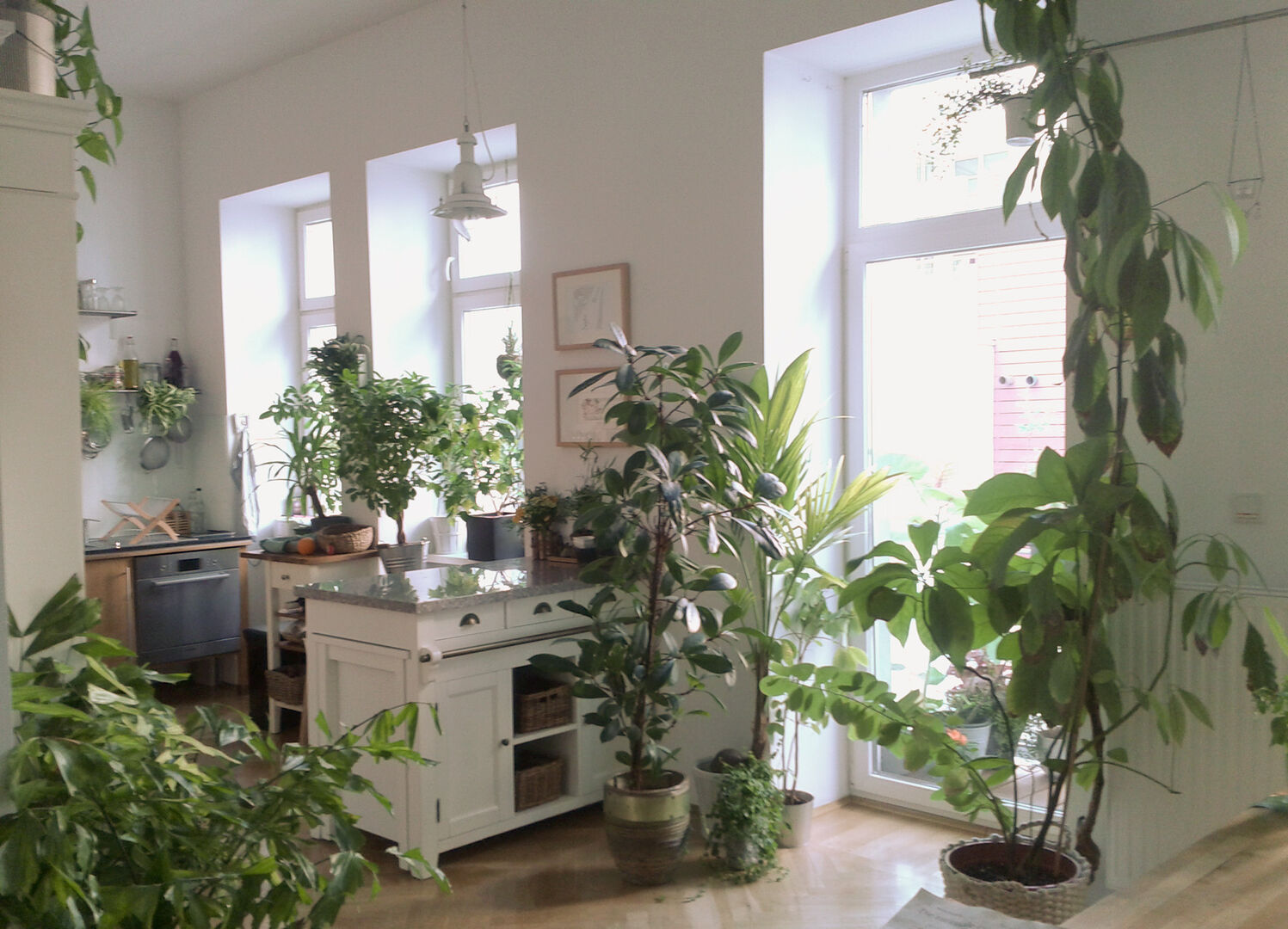 Indoor-Garten