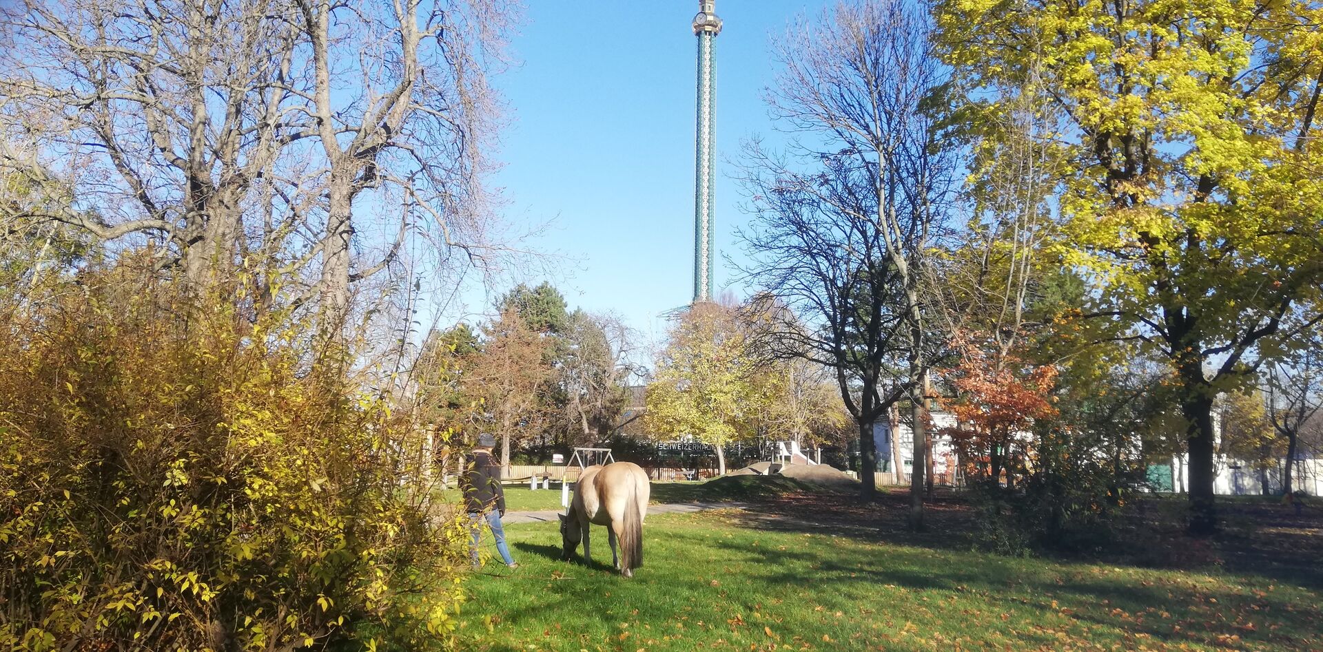 Pferd im Prater