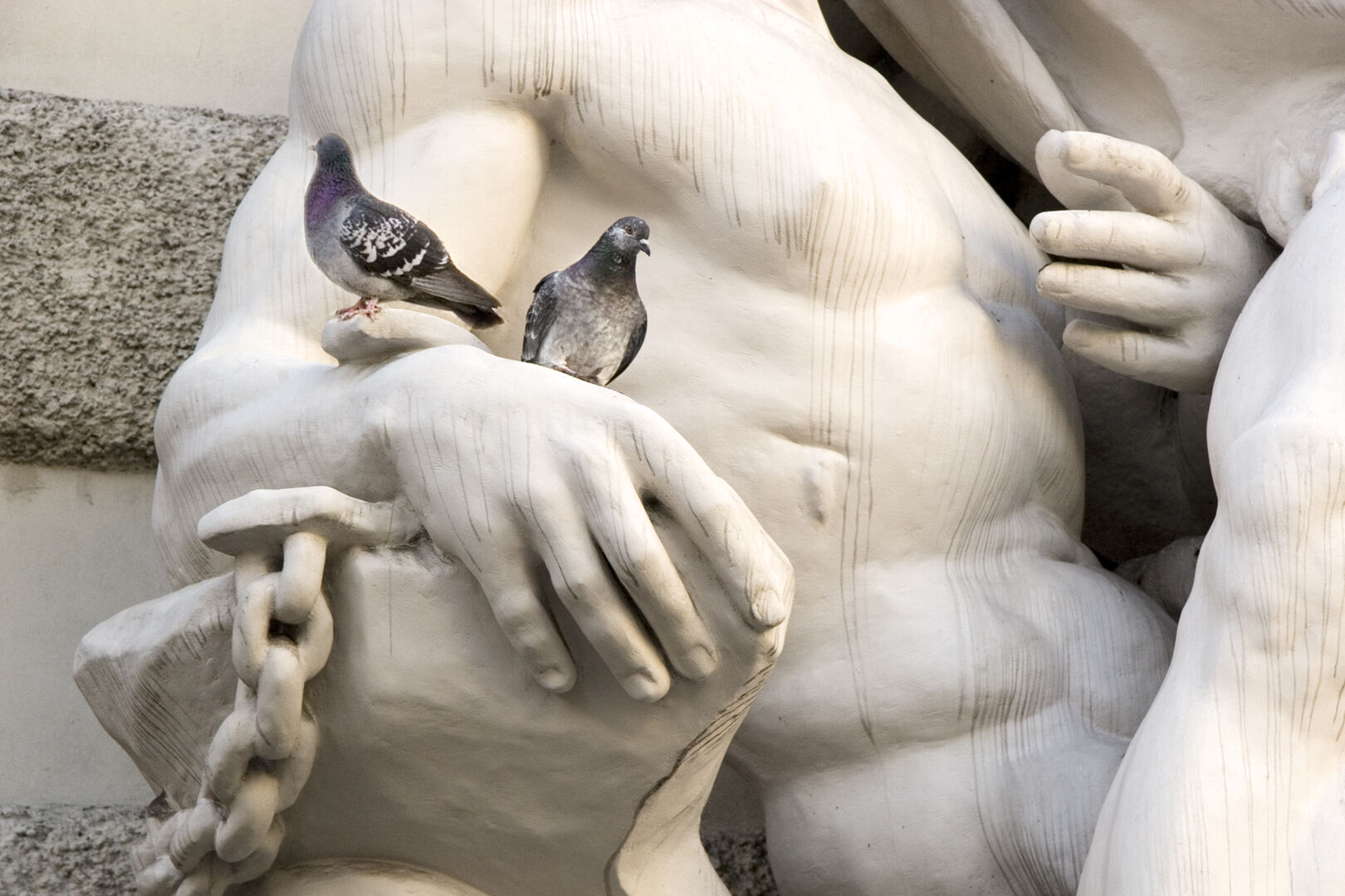 Taub auf Statue