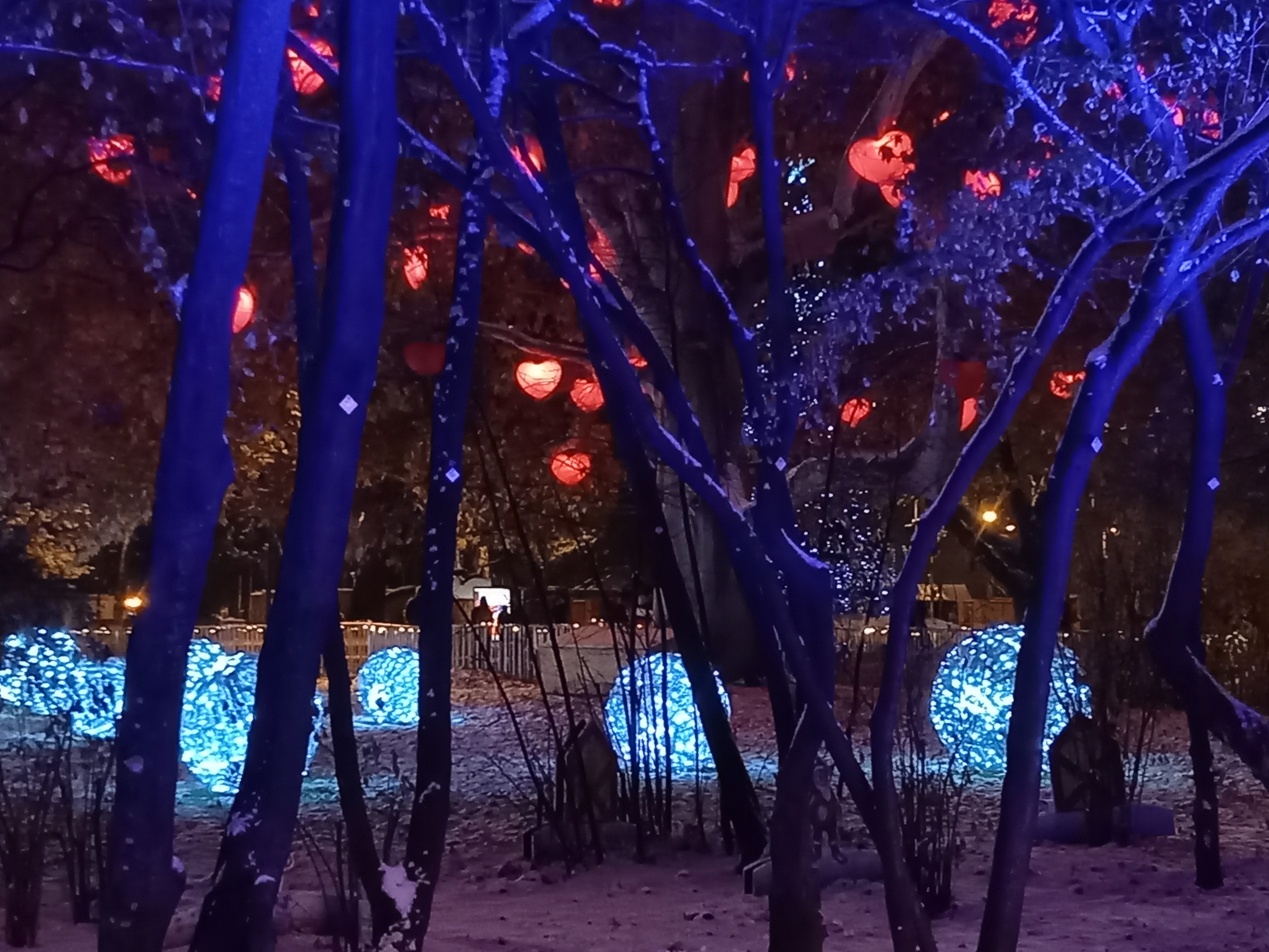 Lichtbälle und Herzerlbaum