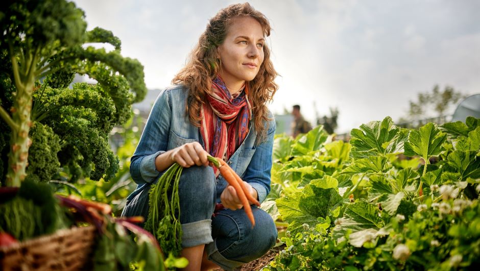 Biologisch hergestellte Lebensmittel als Zeichen der Nachhaltigkeit | Credit: iStock.com/julief514