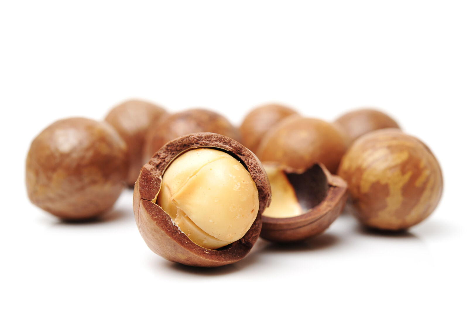 Macadamianüsse, in der Schale und bereits geknackt