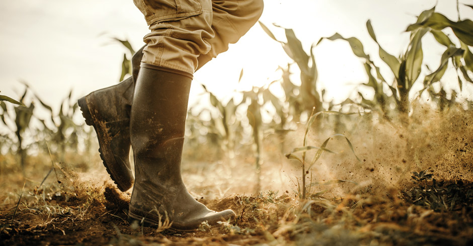 Einstiegsbild Mühlviertel