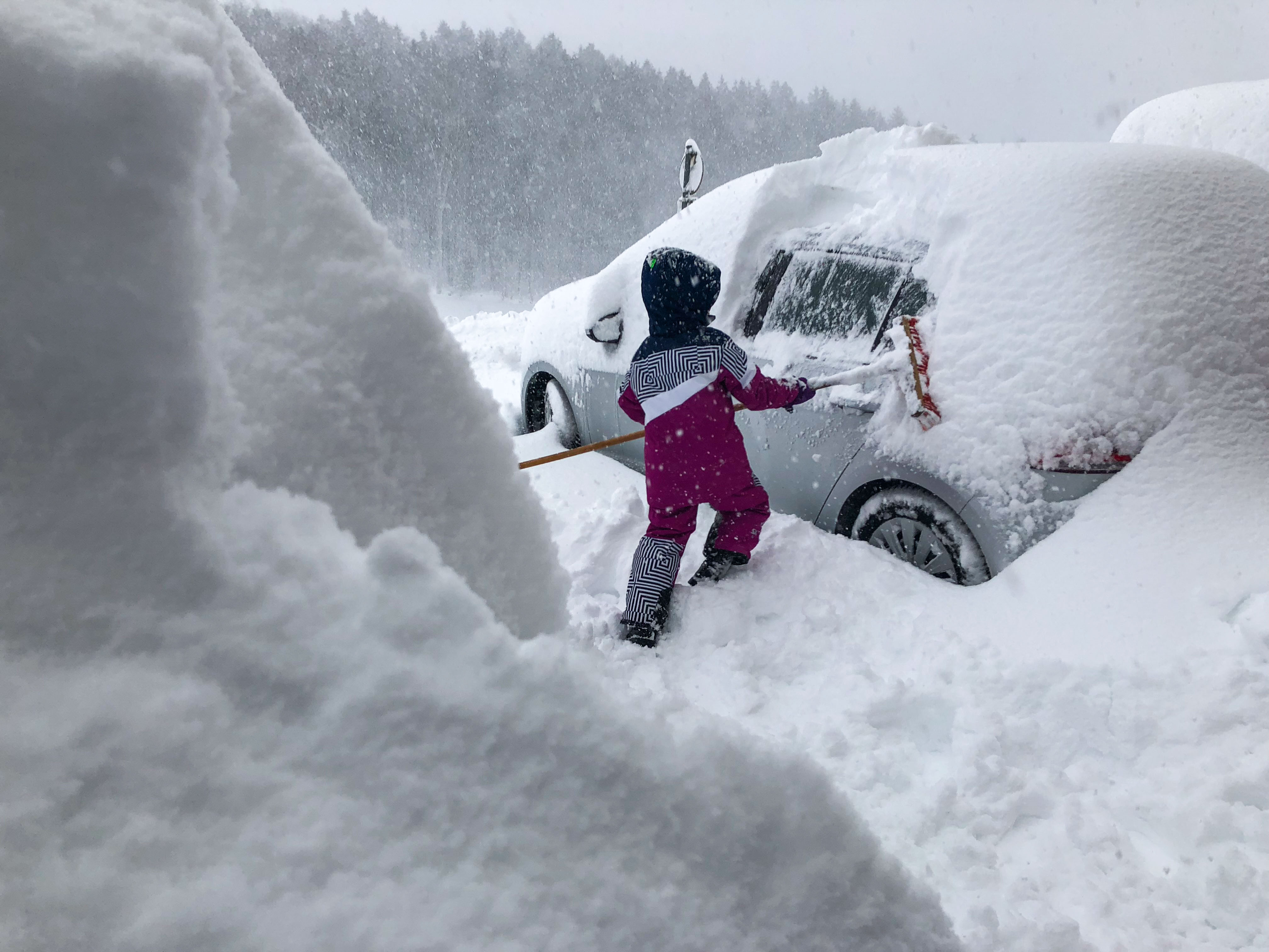 Schneegestöber 2019 | Credit: www.neumayr.cc