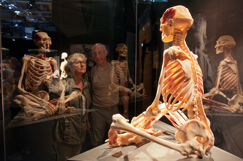 Ausstellung "Körperwelten" | Credit: Gunther von Hagens