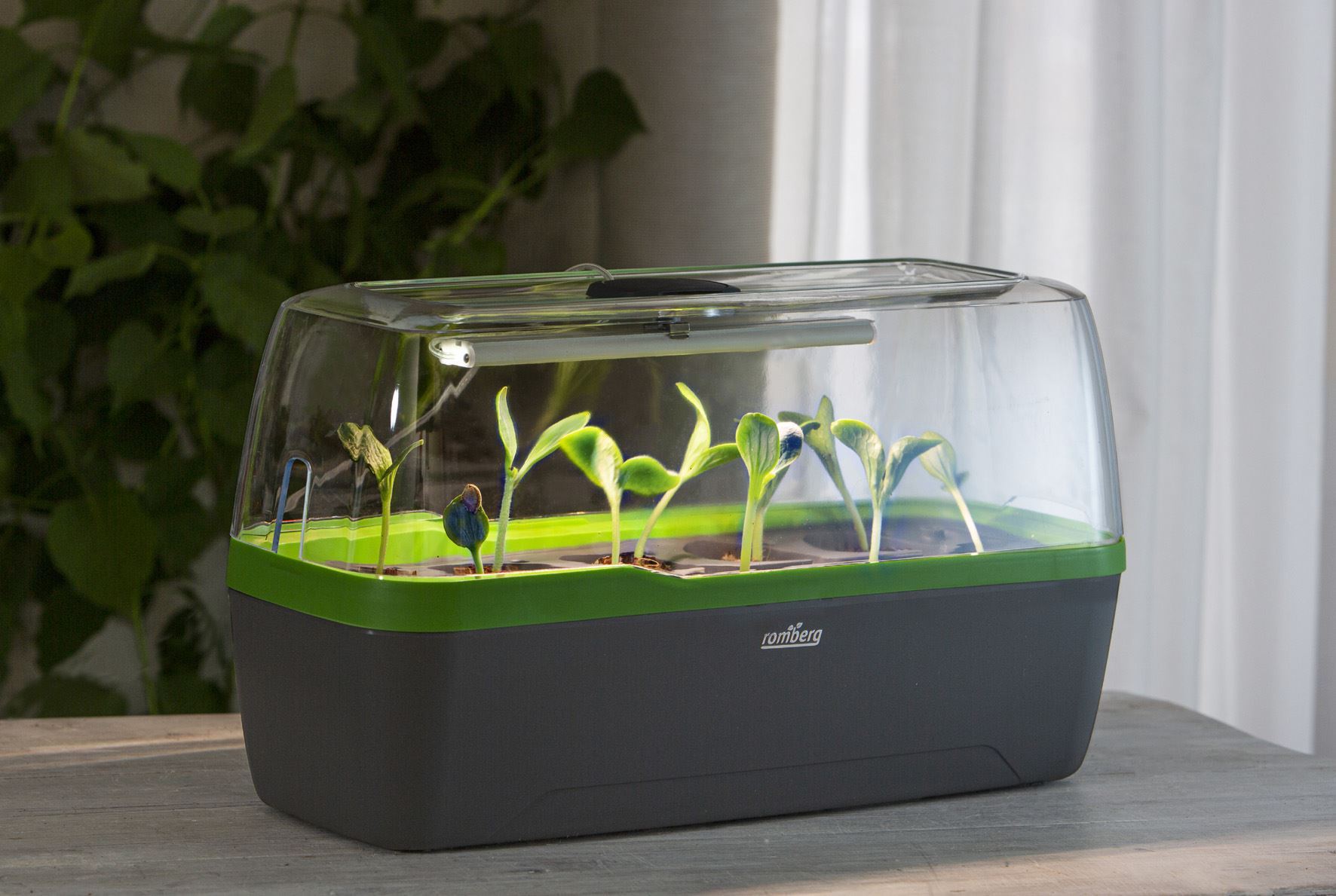 Anzuchtkasten mit Lampe | Credit: Bellaflora