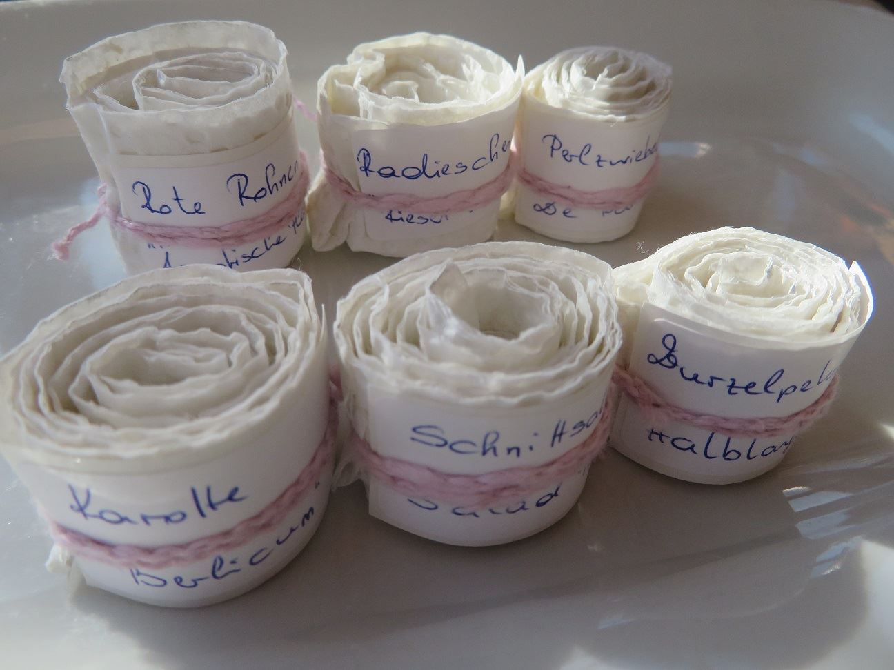 DIY-Samenbänder | Credit: Bellaflora