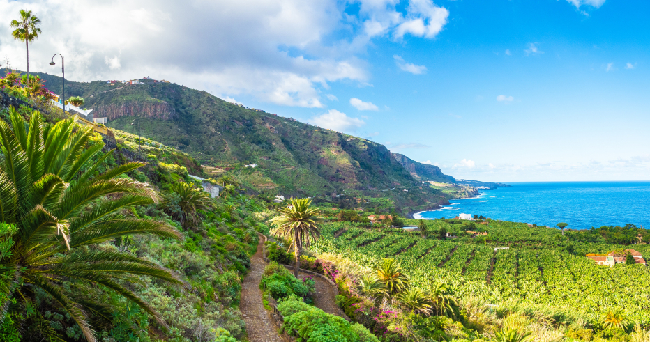 Teneriffa | Credit: iStock.com/Balate Dorin