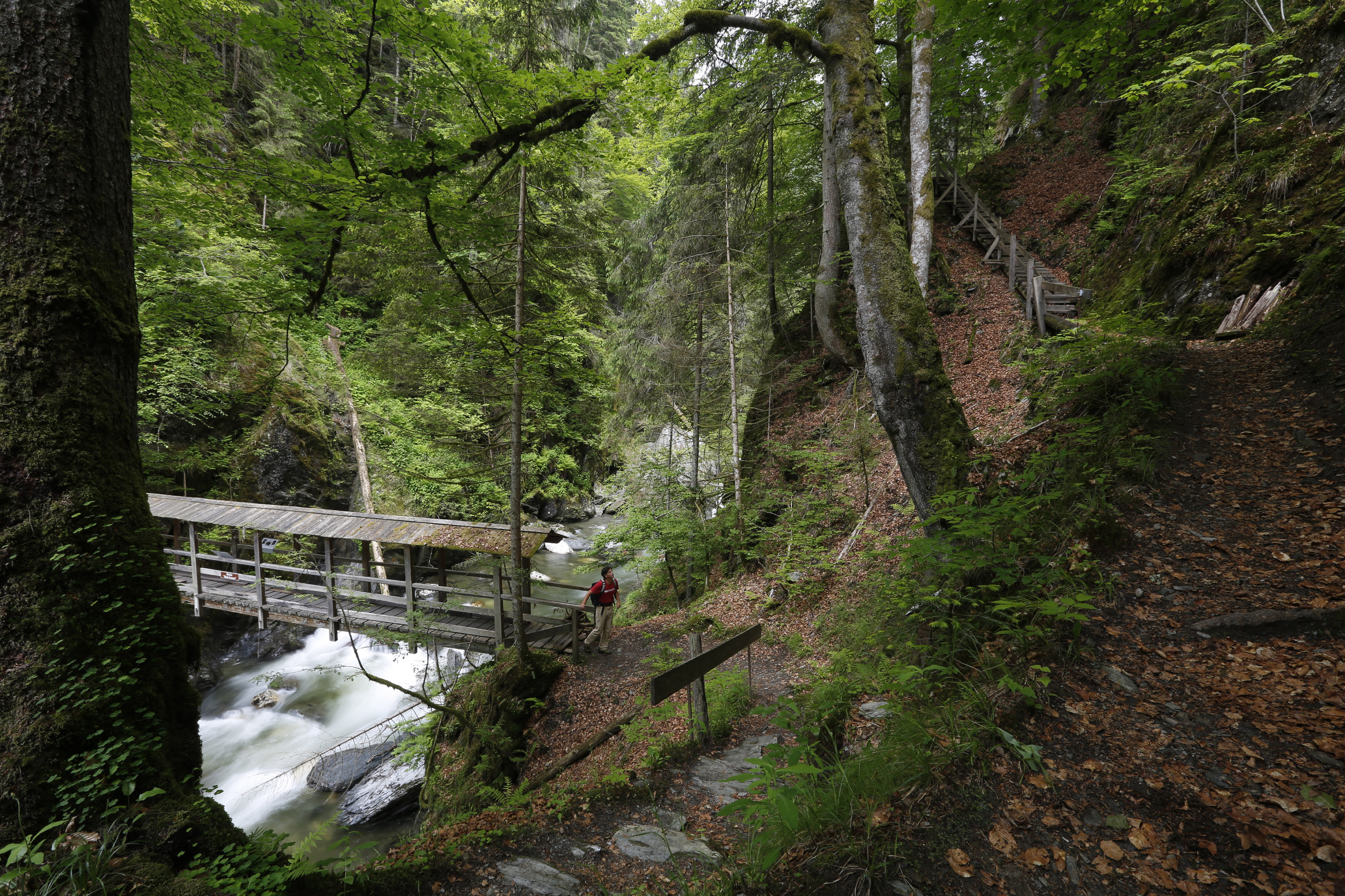 Donnersbachklamm