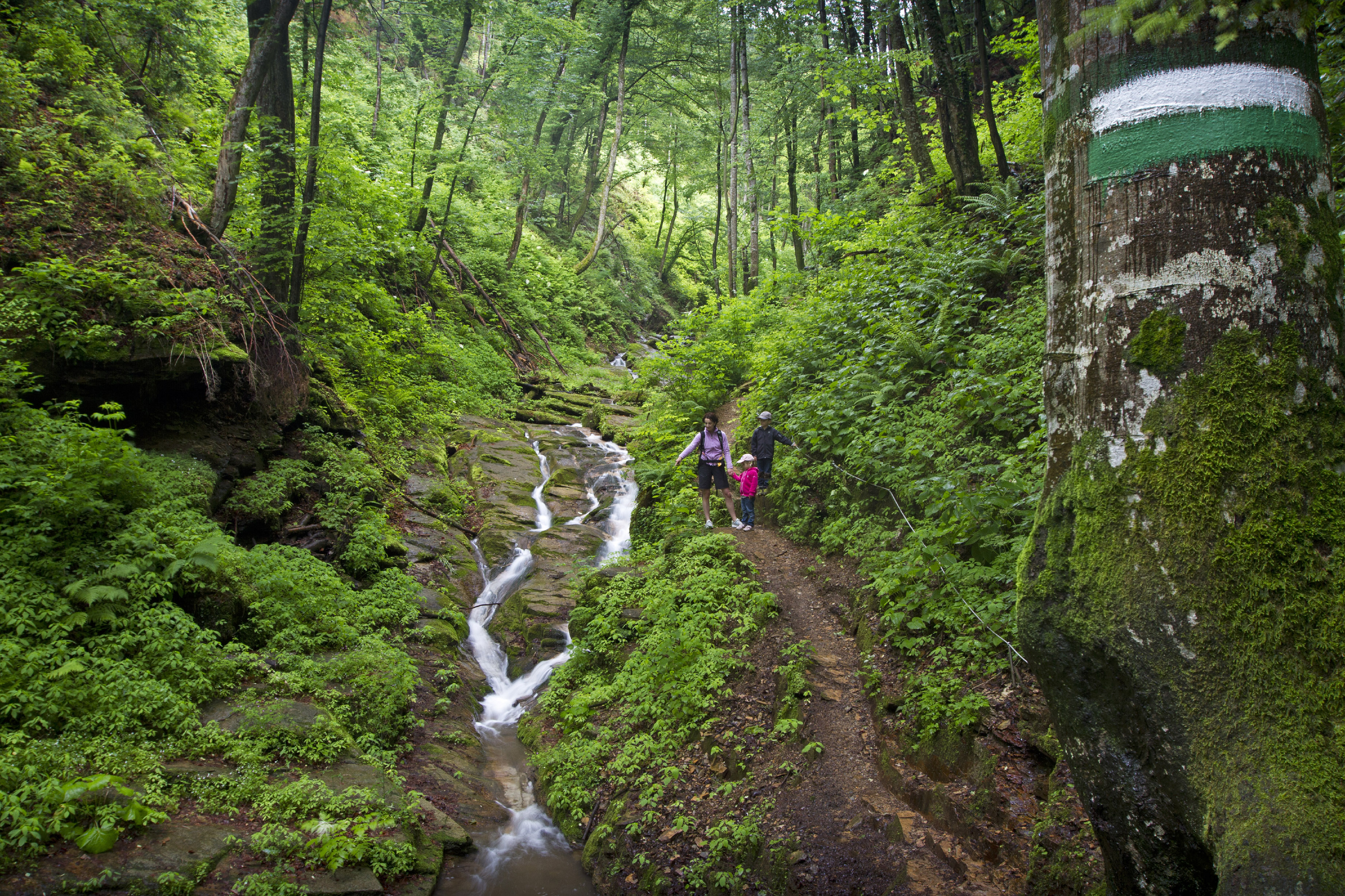 Heiligengeistklamm Leutschach