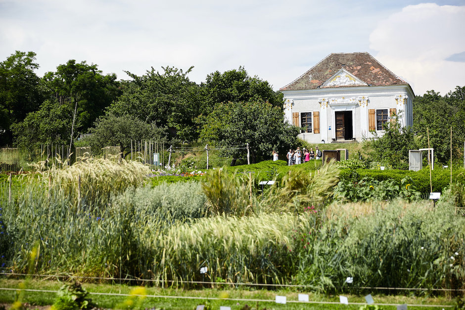 Gartensommer