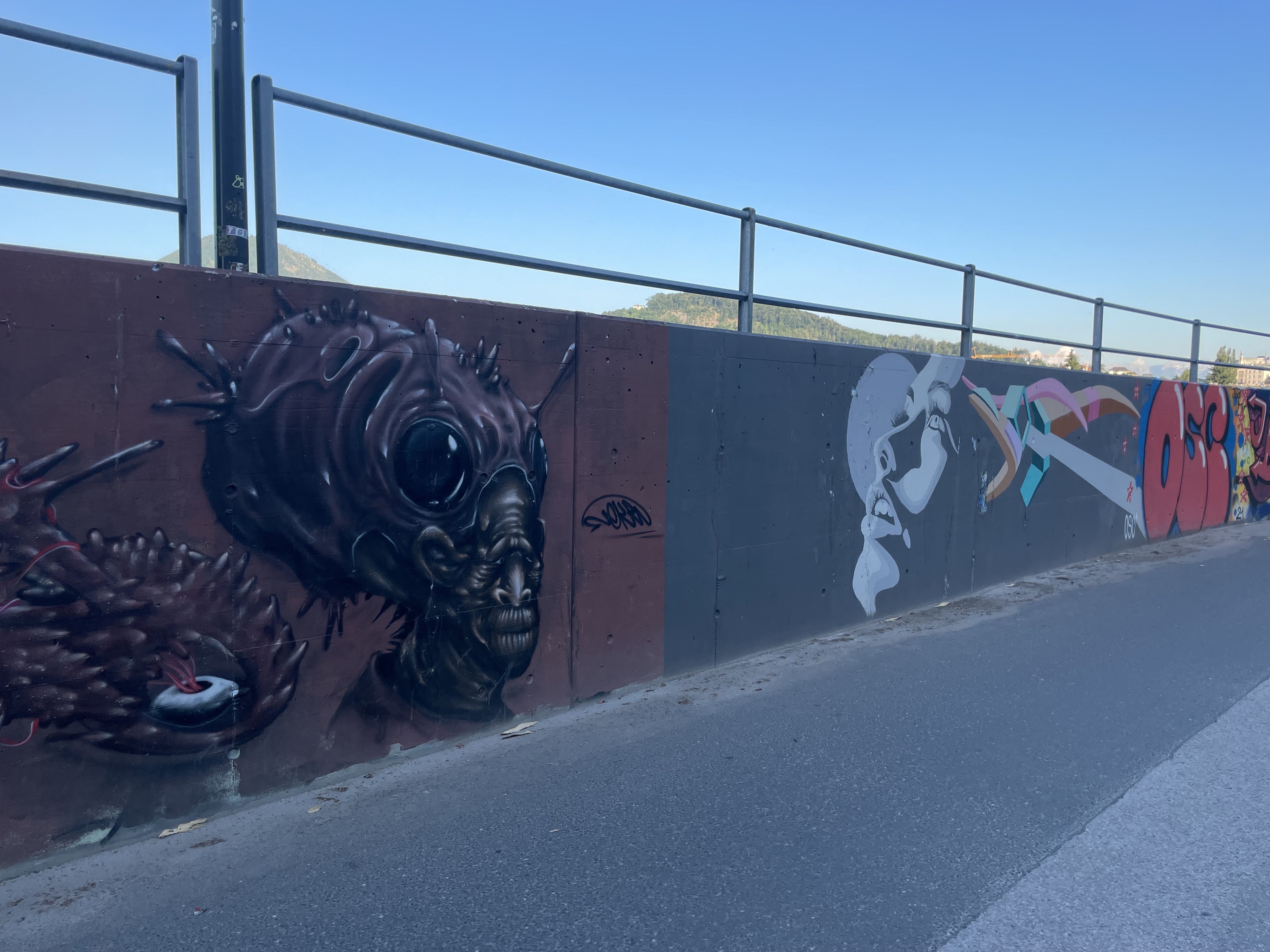 Street Art an der "Salzach Gallery" | Credit: Simone Reitmeier