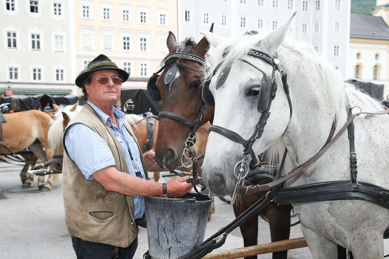 Fiaker am Residenzplatz | Credit: Neumayr