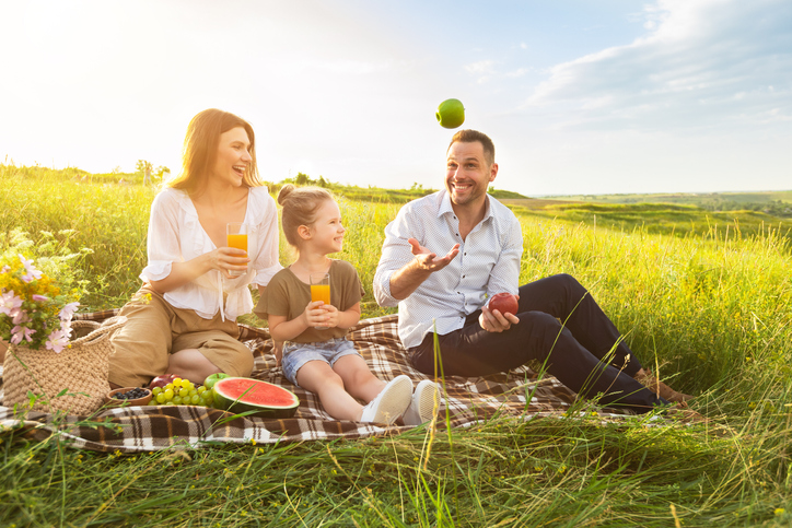 Picknicken | Credit: iStock.com/Prostock-Studio