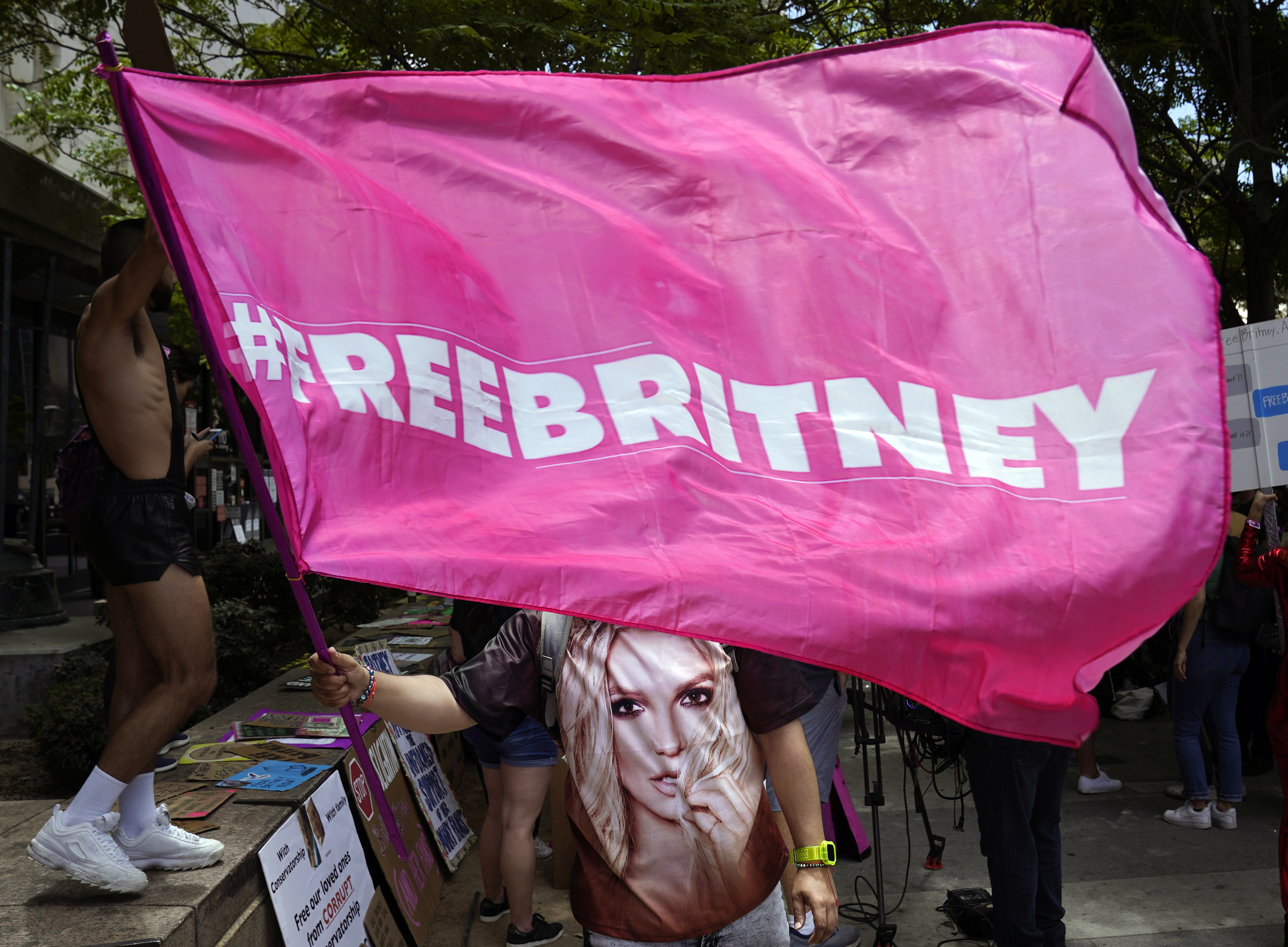 Eine pinke Flagge mit dem Hashtag FreeBritney