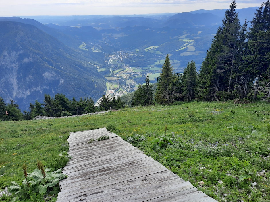 Ausblick