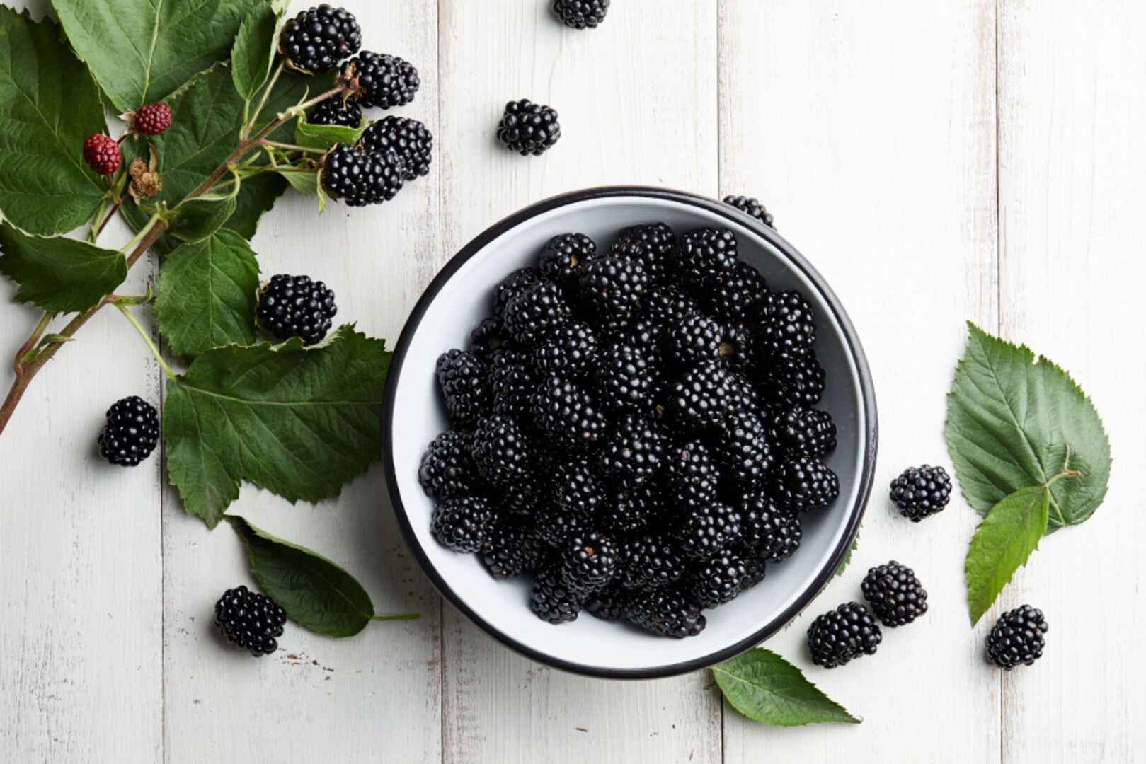 Brombeeren | Credit: iStock.com/kobeza