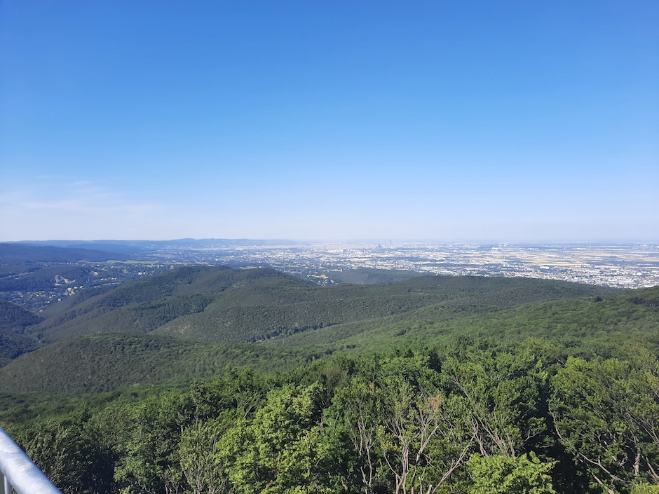 Panorama