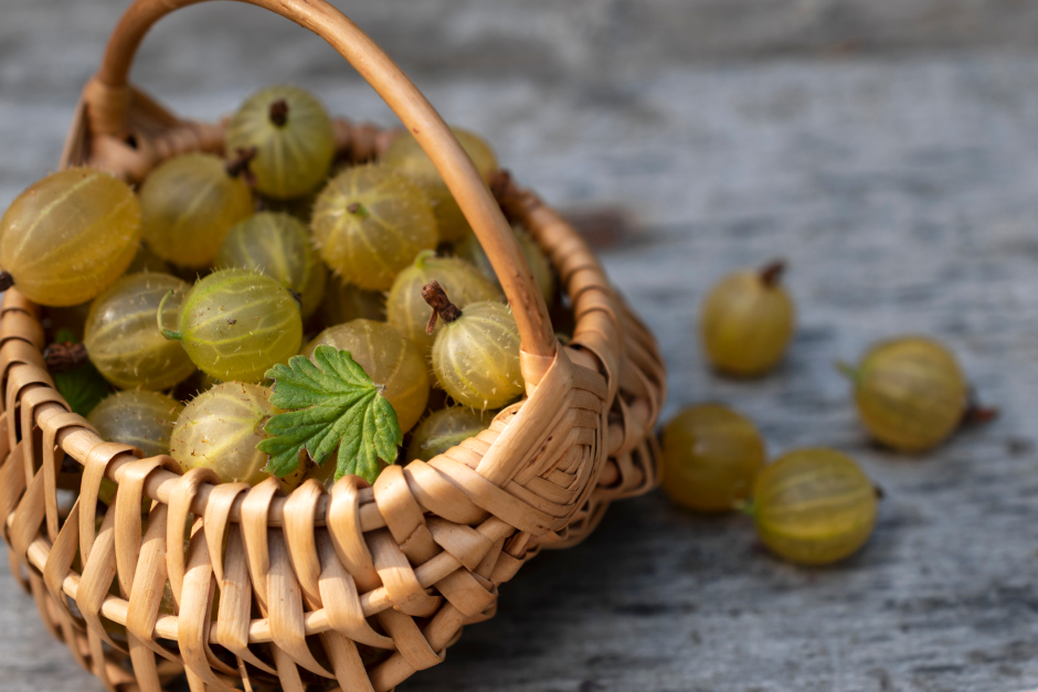 Stachelbeeren | Credit: iStock.com
