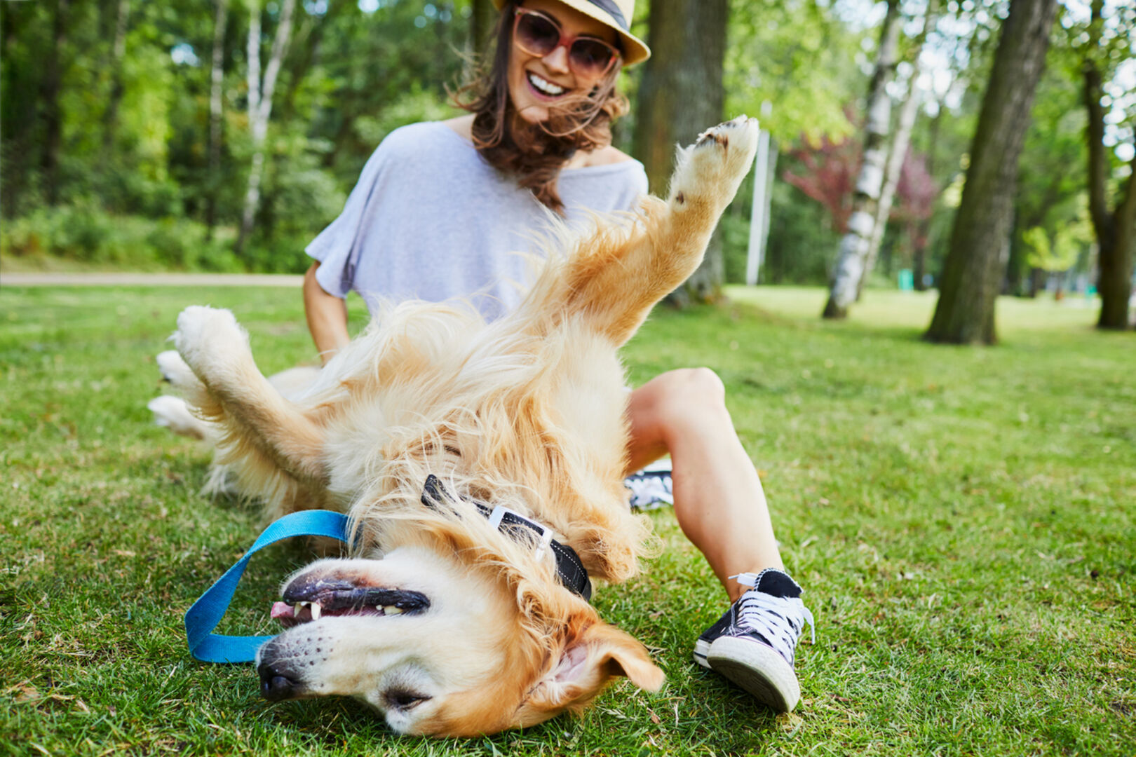 Hund Park Urlaub