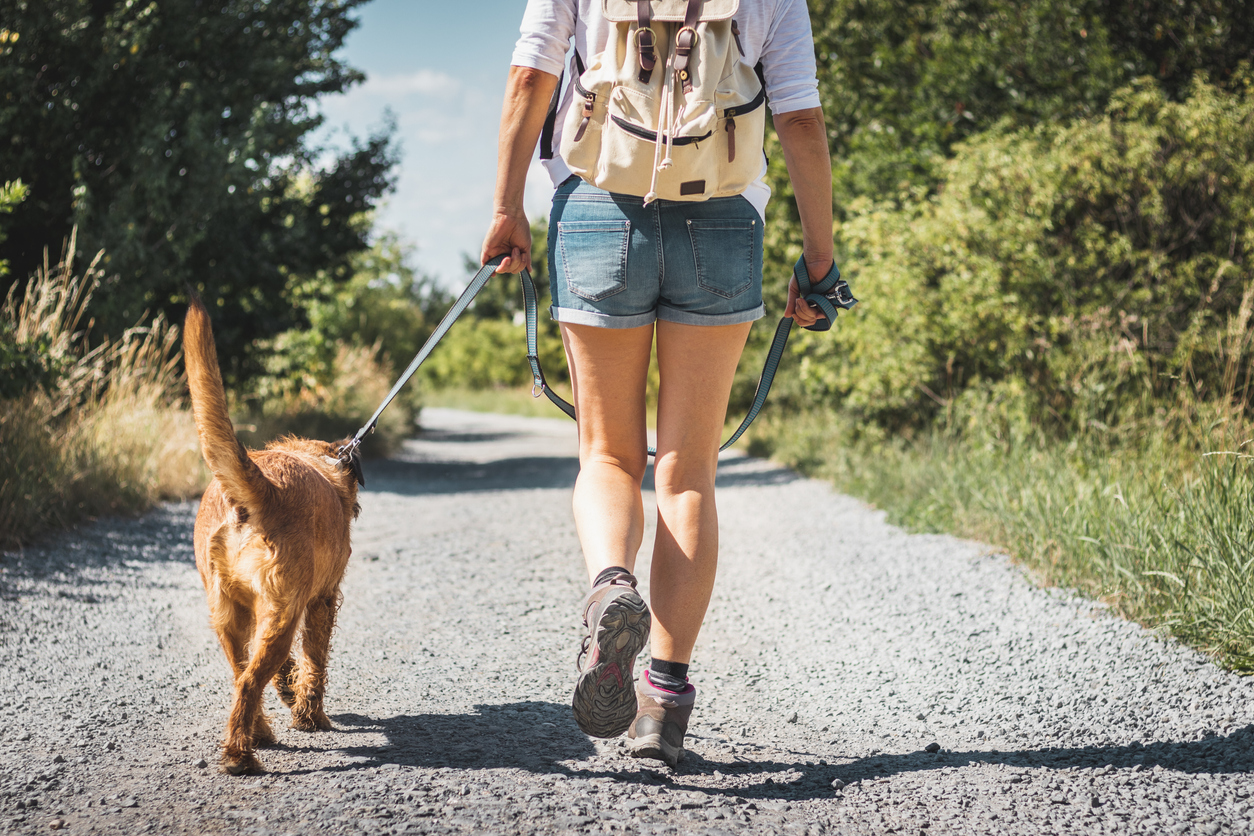 Spazierwege Wien Hunde