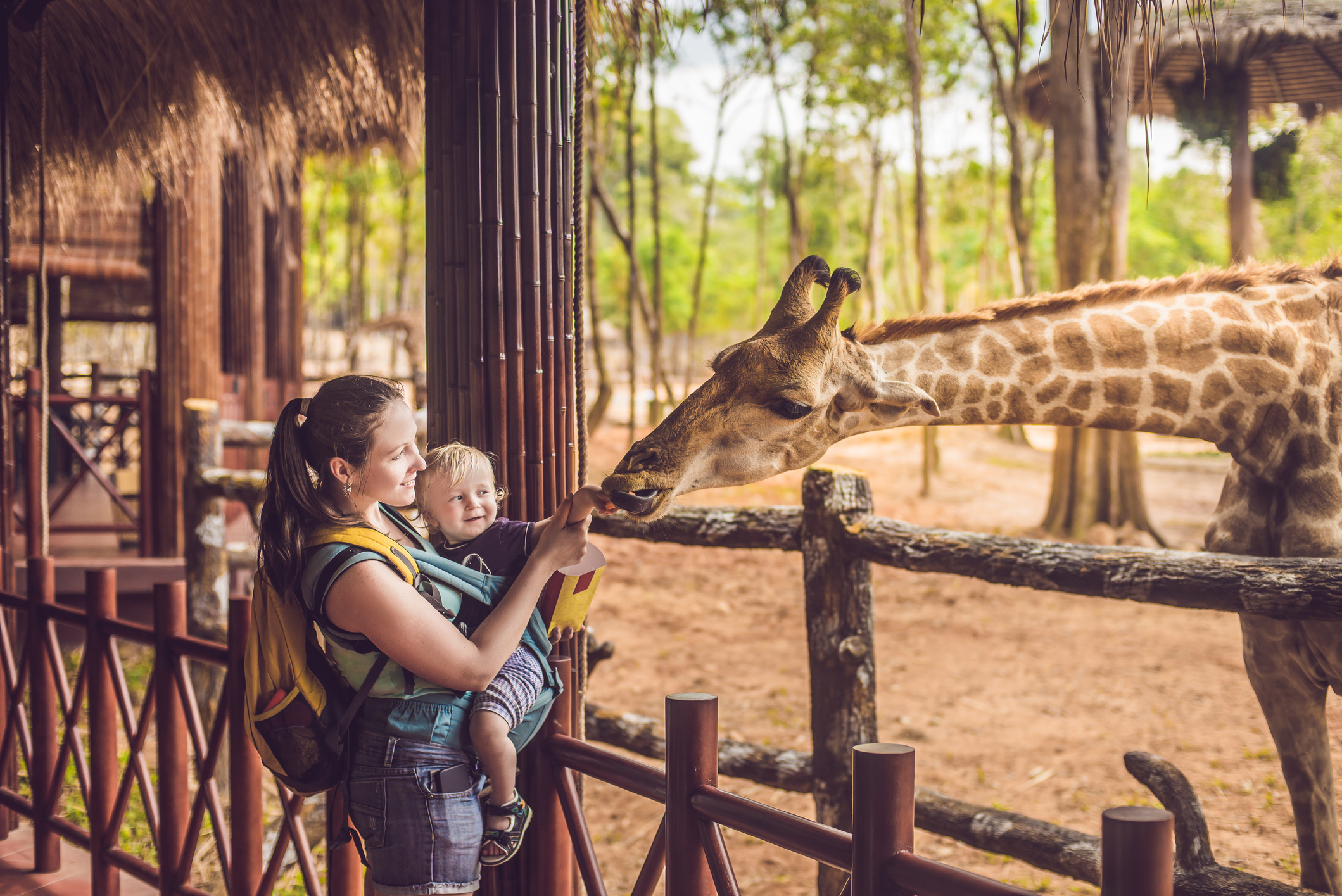 Die besten Zoos in Europa | Credit: iStock.com/galitskaya