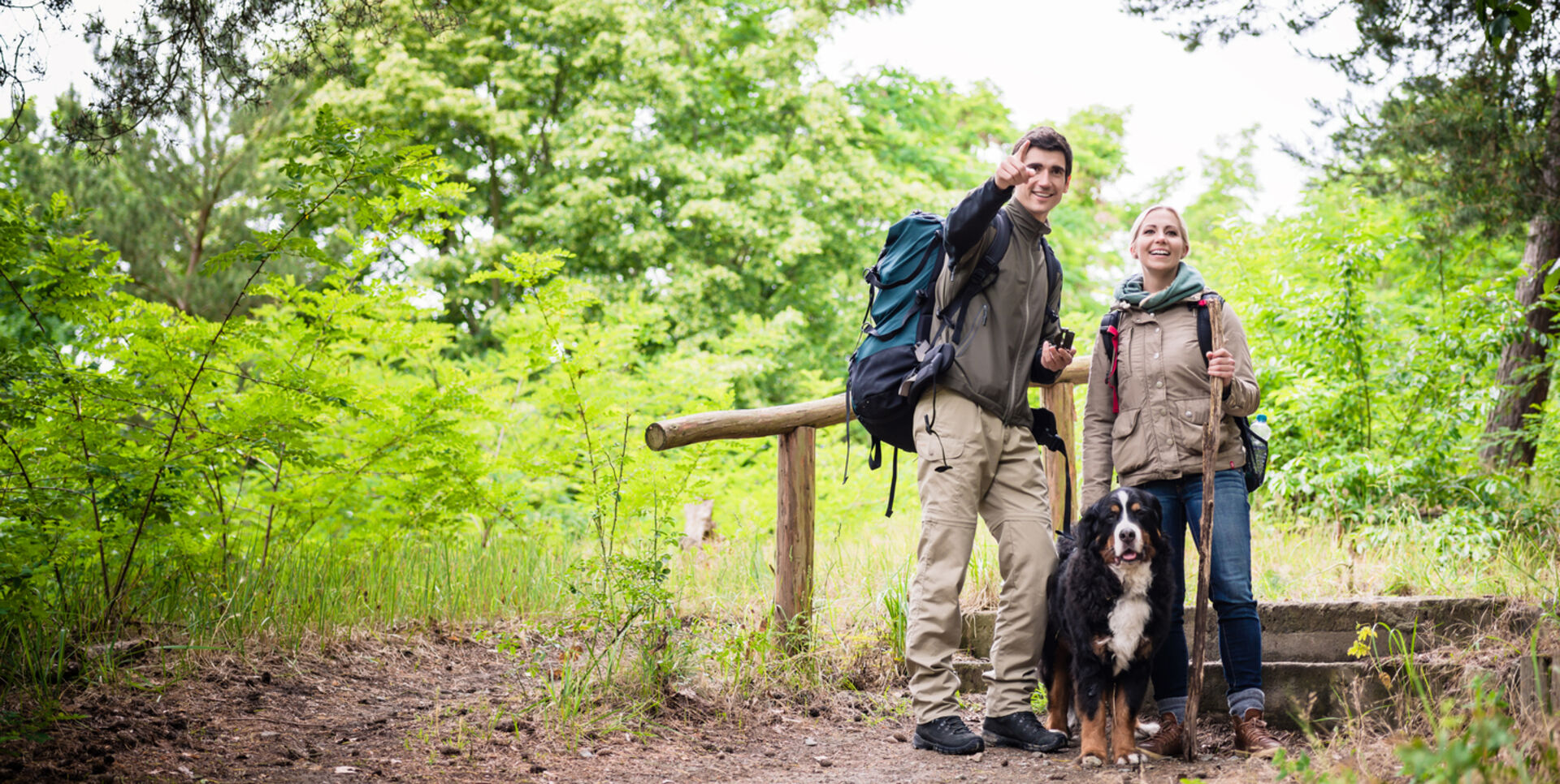 Urlaub Hund Steiermark