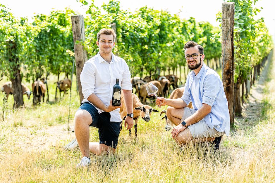 Weingut Auer