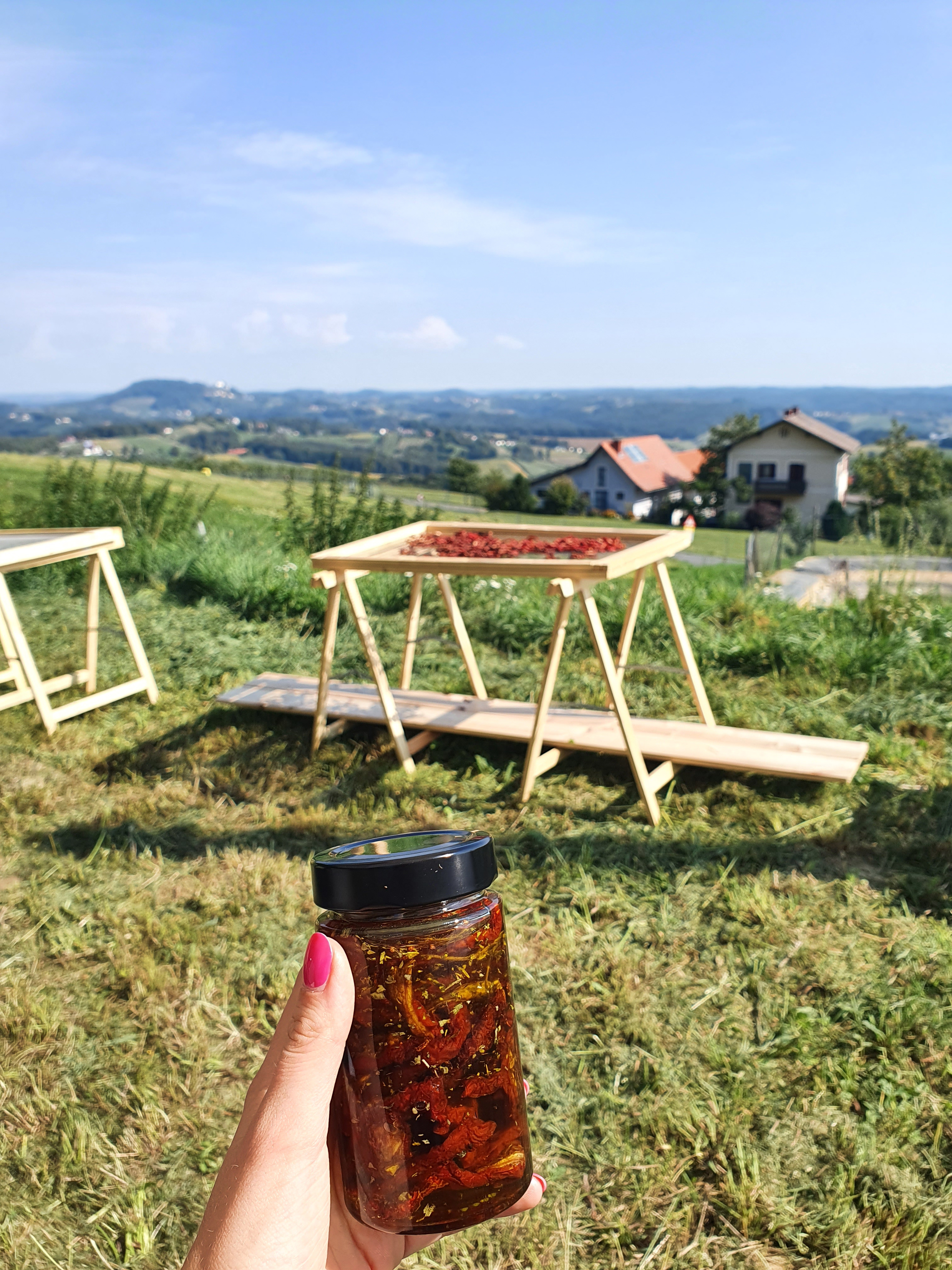 Eingelegte Tomaten im Glas
