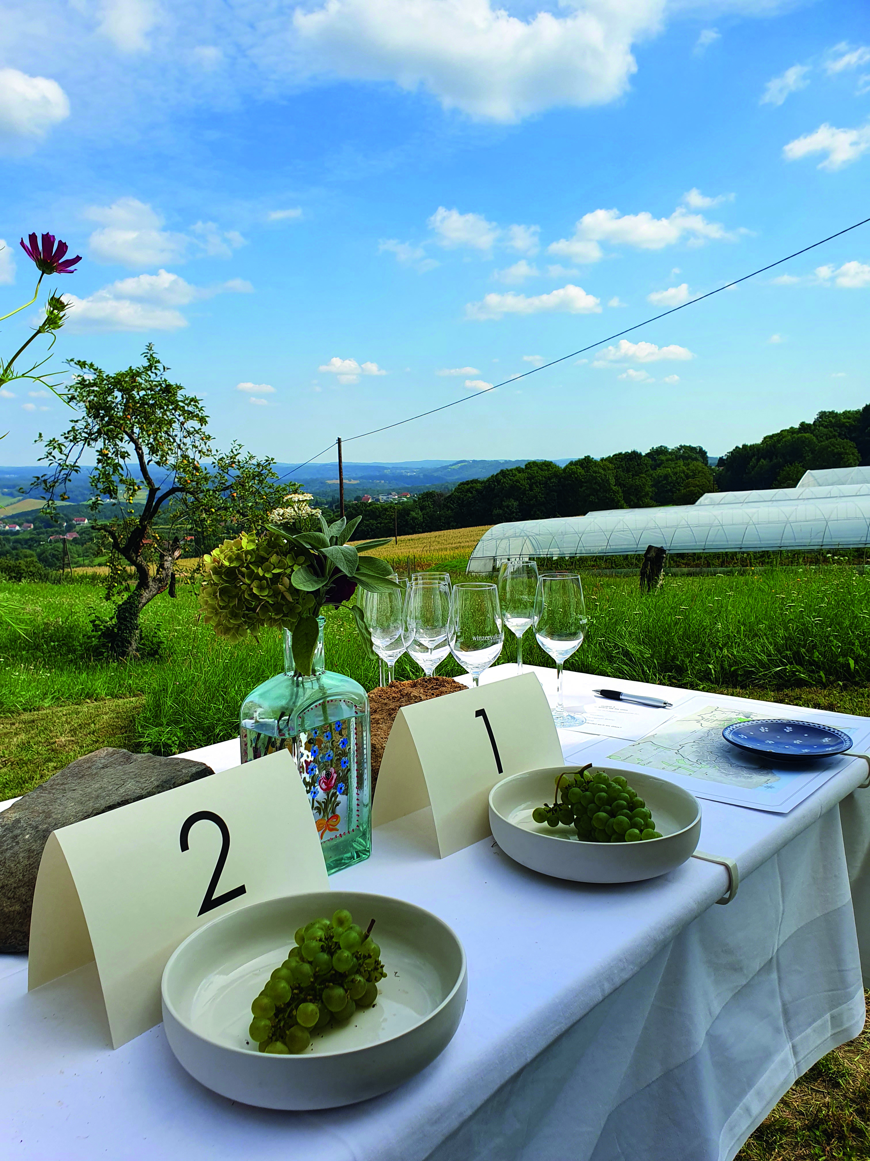 Trauben in drei Schalen