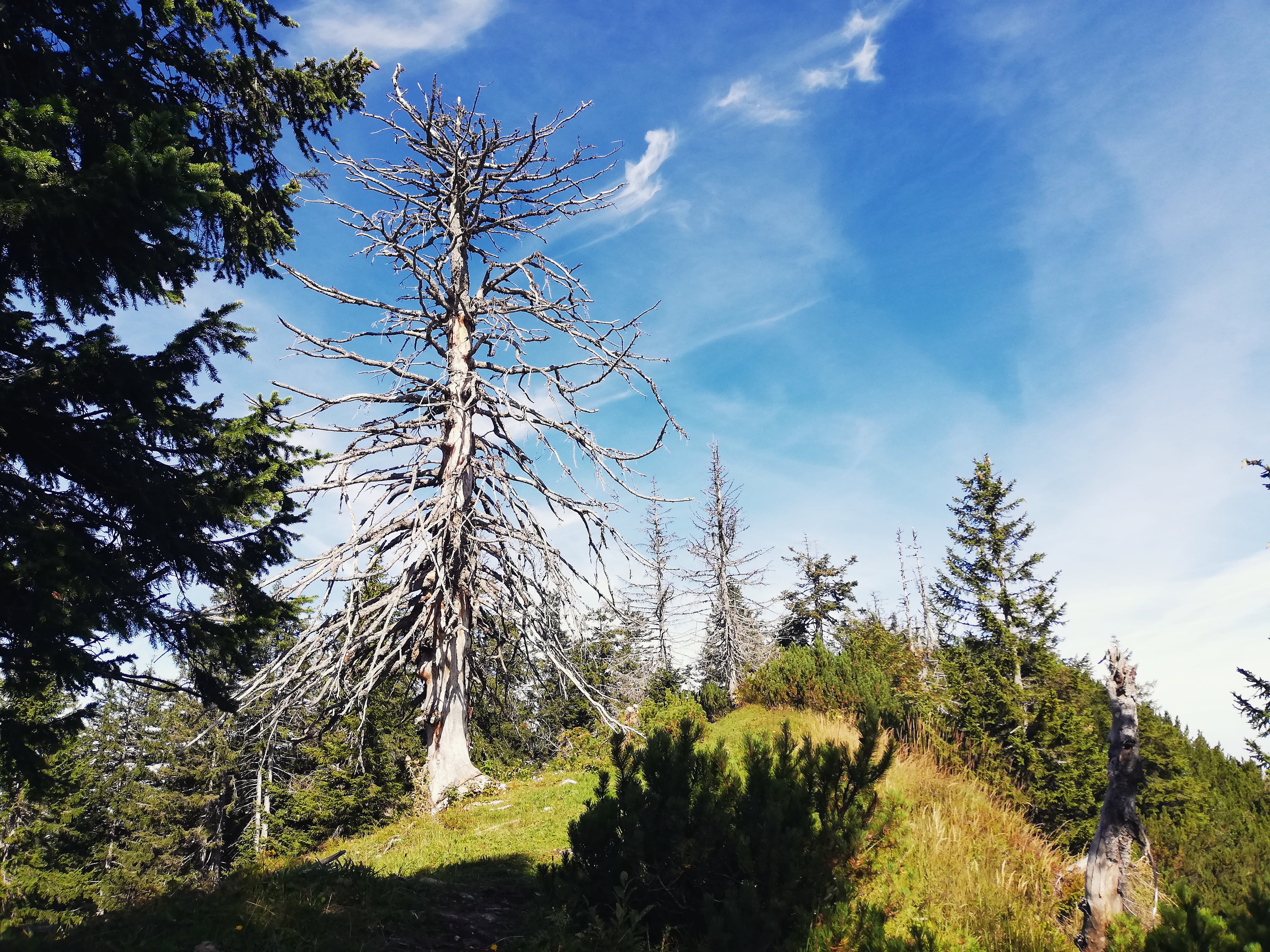 Grat Eibleck-Runde | Credit: Simone Reitmeier