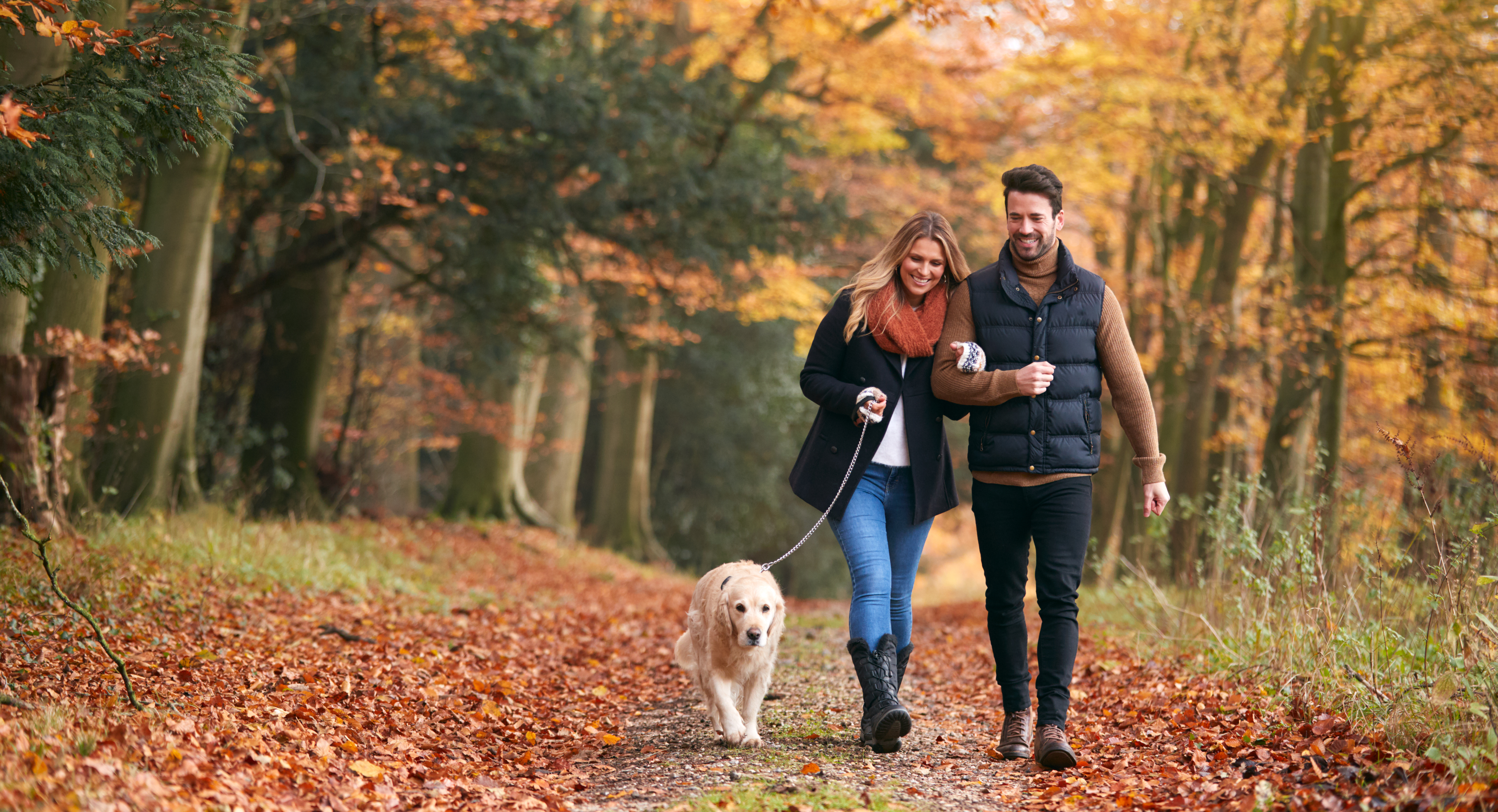 Leihhund zum Spazierengehen | Credit: iStock.com/monkeybusinessimages