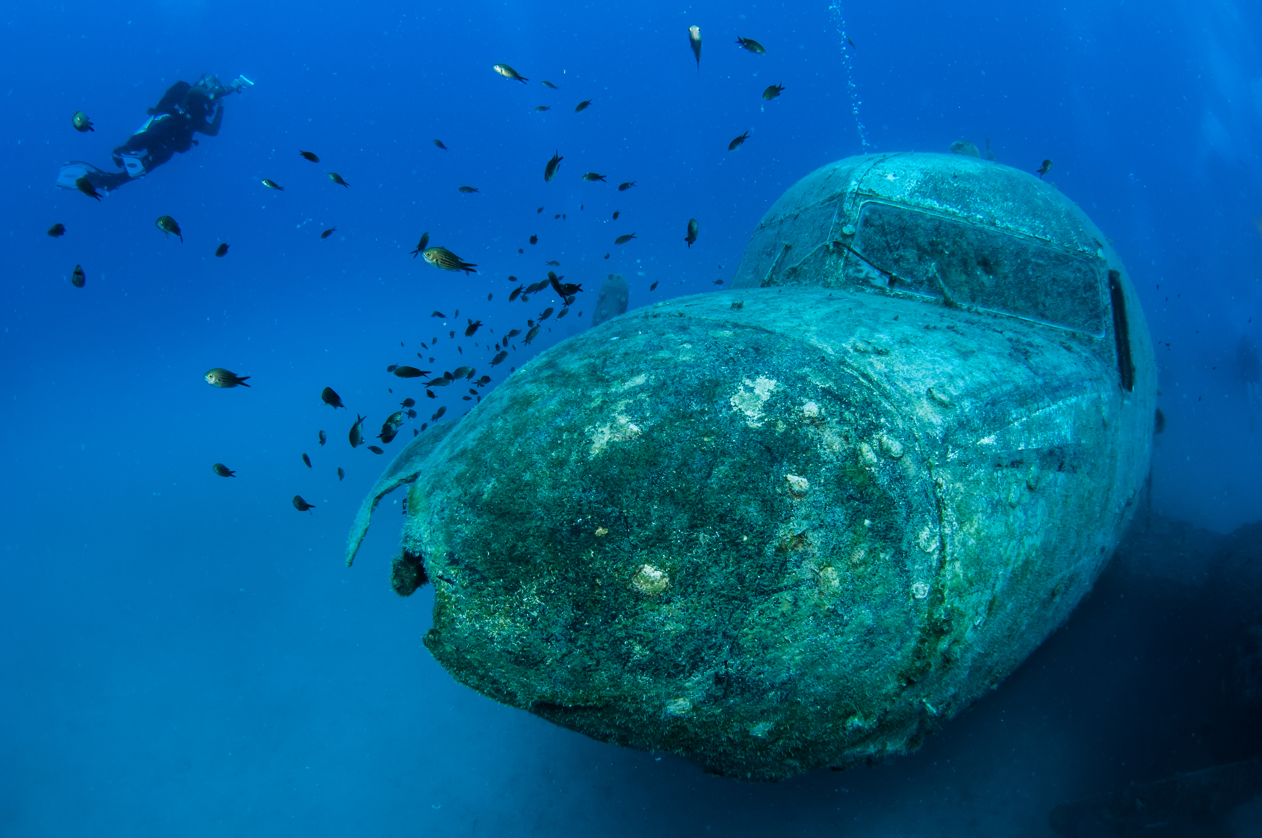 Die "Nase" des Flugzeugs | Credit: iStock.com/Divepic