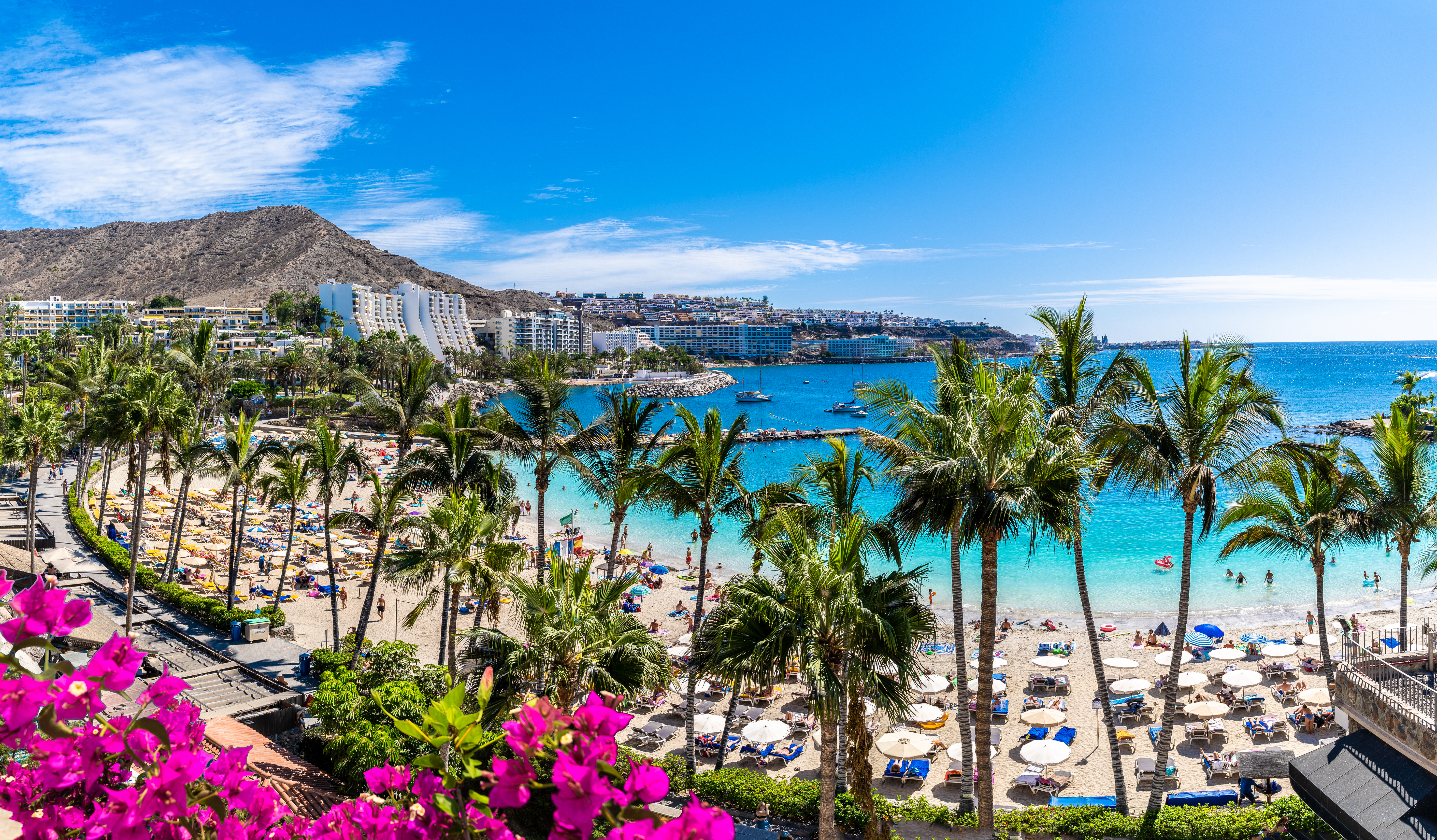 Strand mit Palmen und blauem Meer