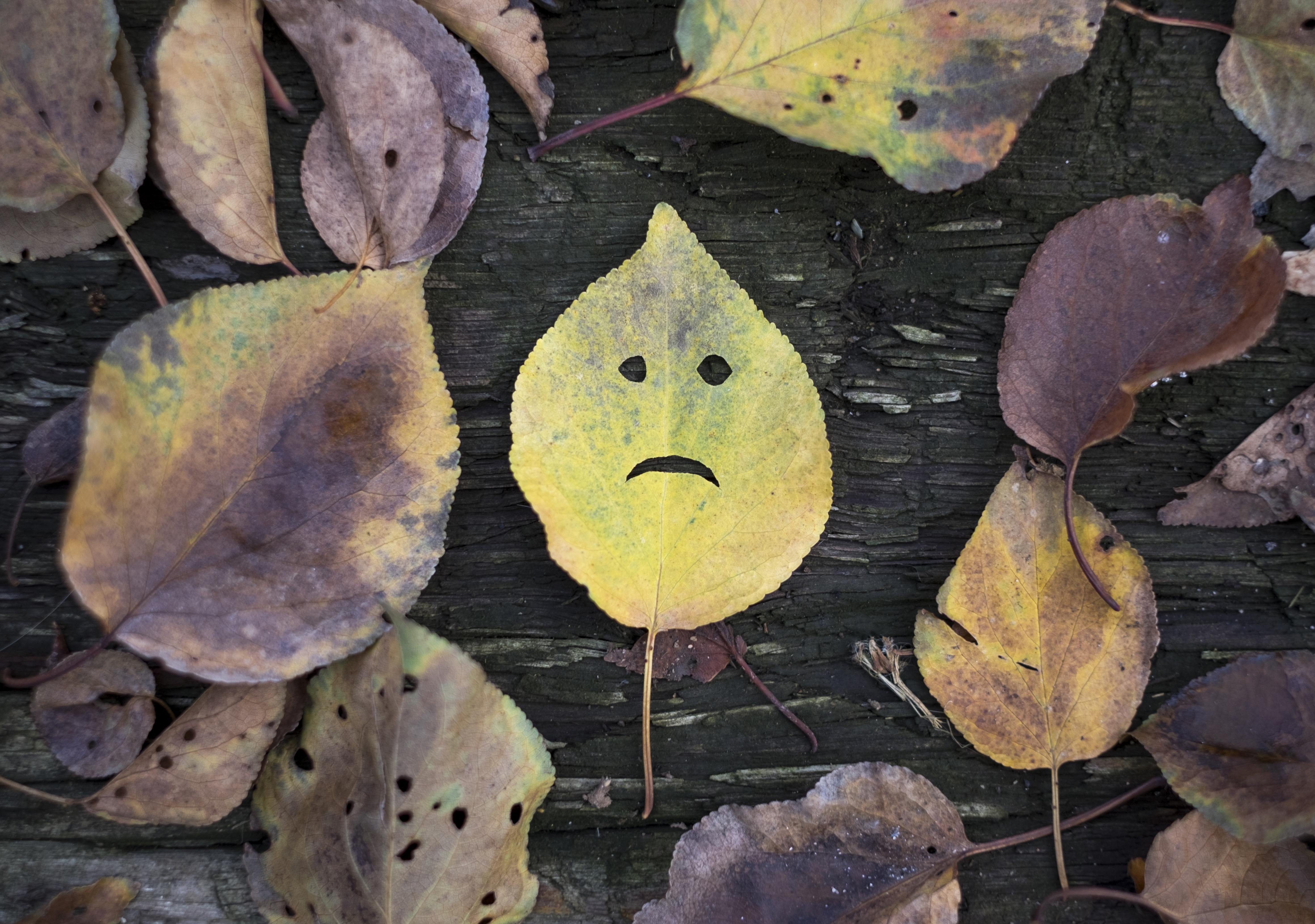 Die besten Rezepte gegen Herbstblues | Credit: iStock.com/taniche