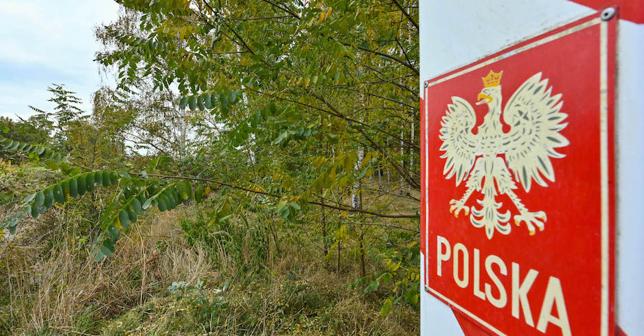 Ein polnischer Adler am rot-weißen Grenzpfosten in einem Wald