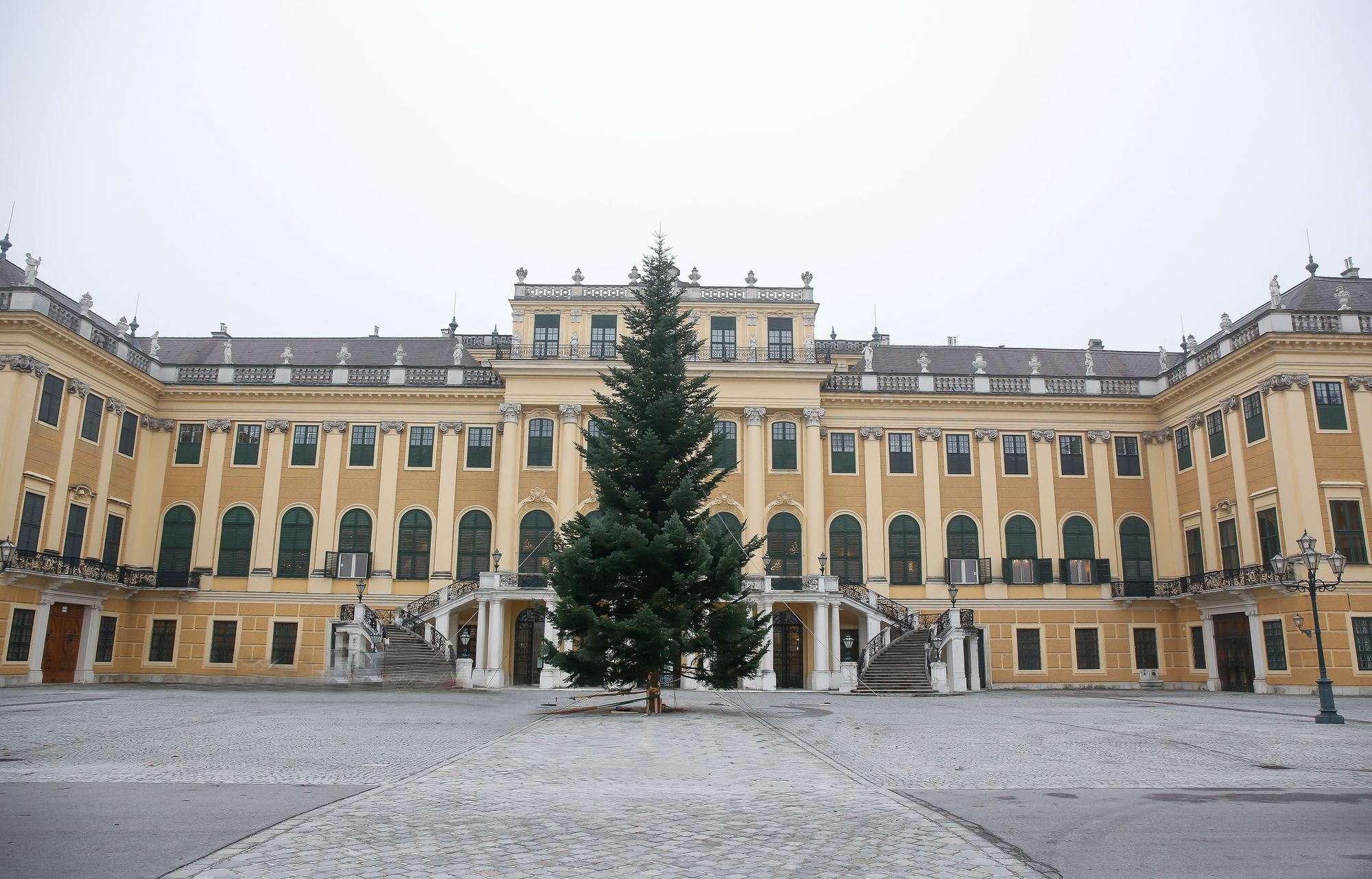 Frisch aufgestellter Christbaum vorm Schloss Schönbrunn| Credit: ÖBf-Archiv/Wolfgang Simlinger, www.weihnachtsmarkt.co.at/FOTOFALLY