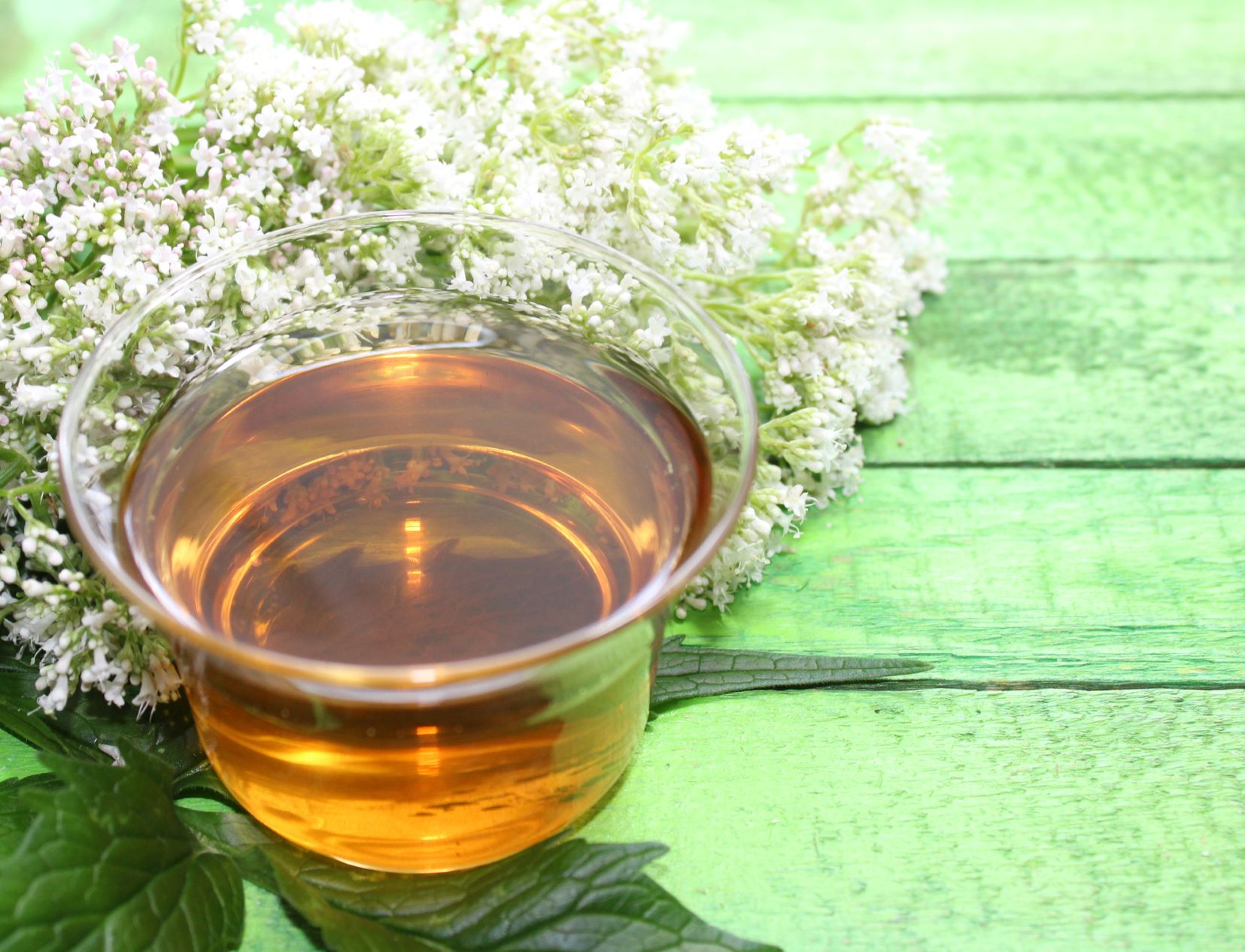 Tasse mit Baldriantee | Credit: iStock.com/Martina Unbehauen