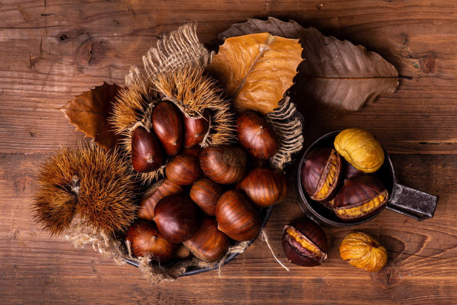 Maroni, herbstlich arrangiert | Credit: iStock.com/luigi giordano