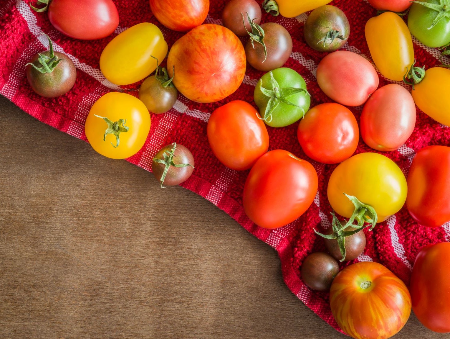 Bunte Tomaten | Credit: iStock.com/FotoDuets