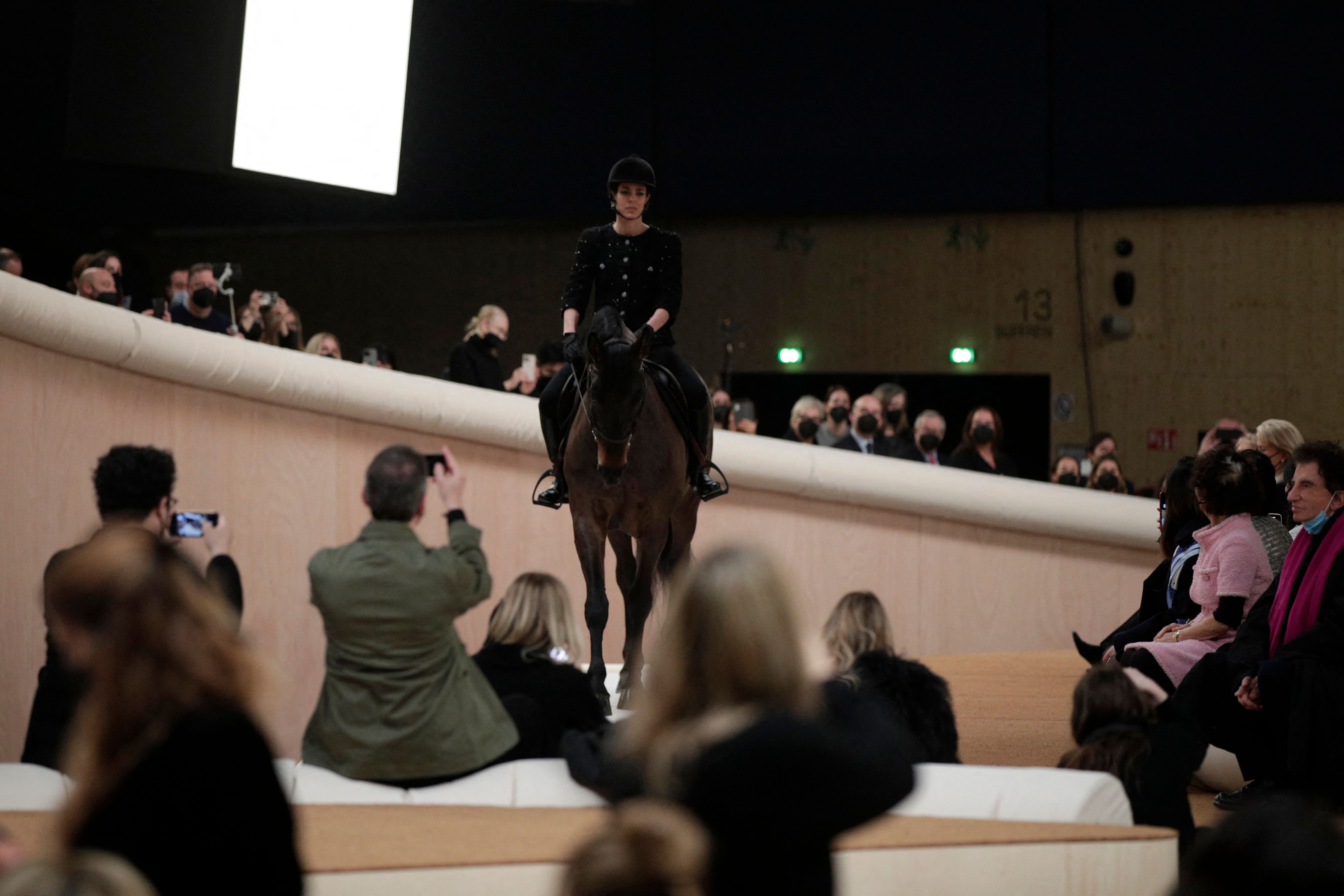 Das Pferd war der Star der Show.