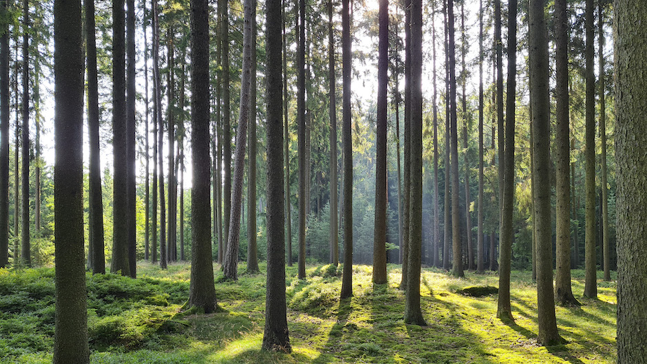 Klimaschutz