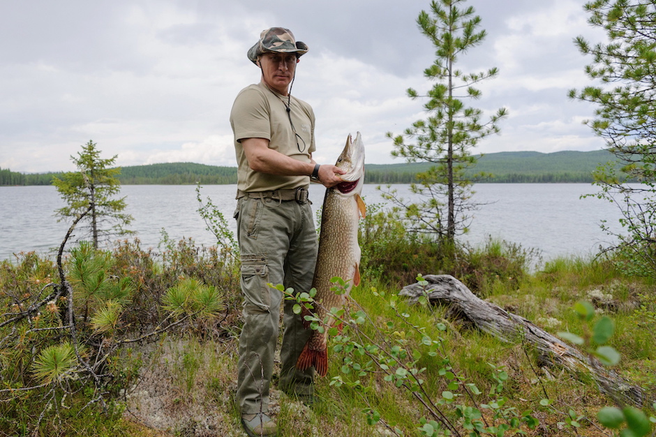Putin hält einen riesigen Fisch bei den Kiemen