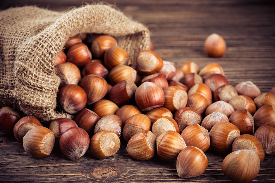 Haselnüsse | Credit: iStock.com/Andrelix