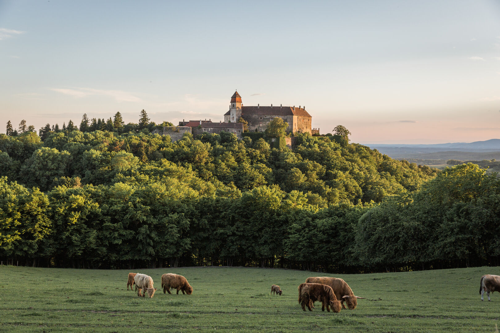Burg Bernstein