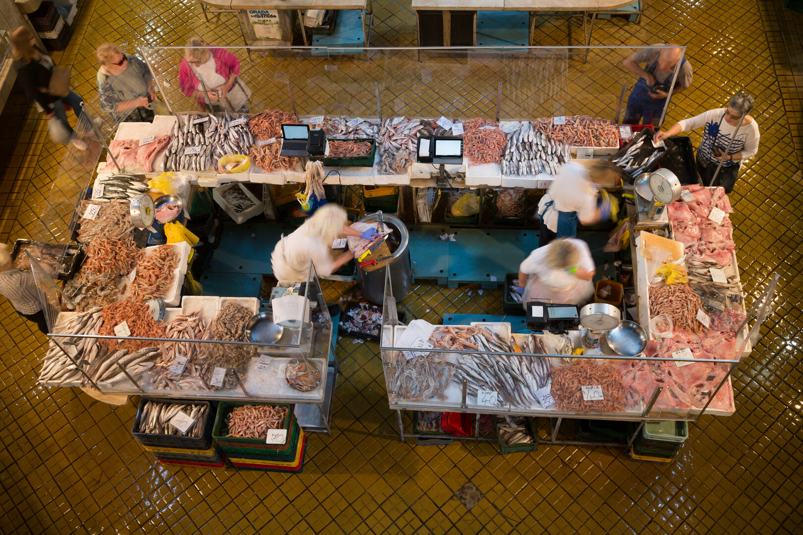 Fischmarkt in Rijeka | Credit: Bastian / Caro / picturedesk.com