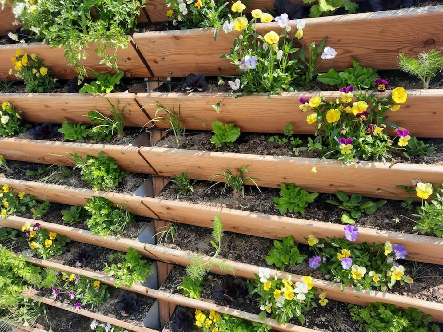 City Farm