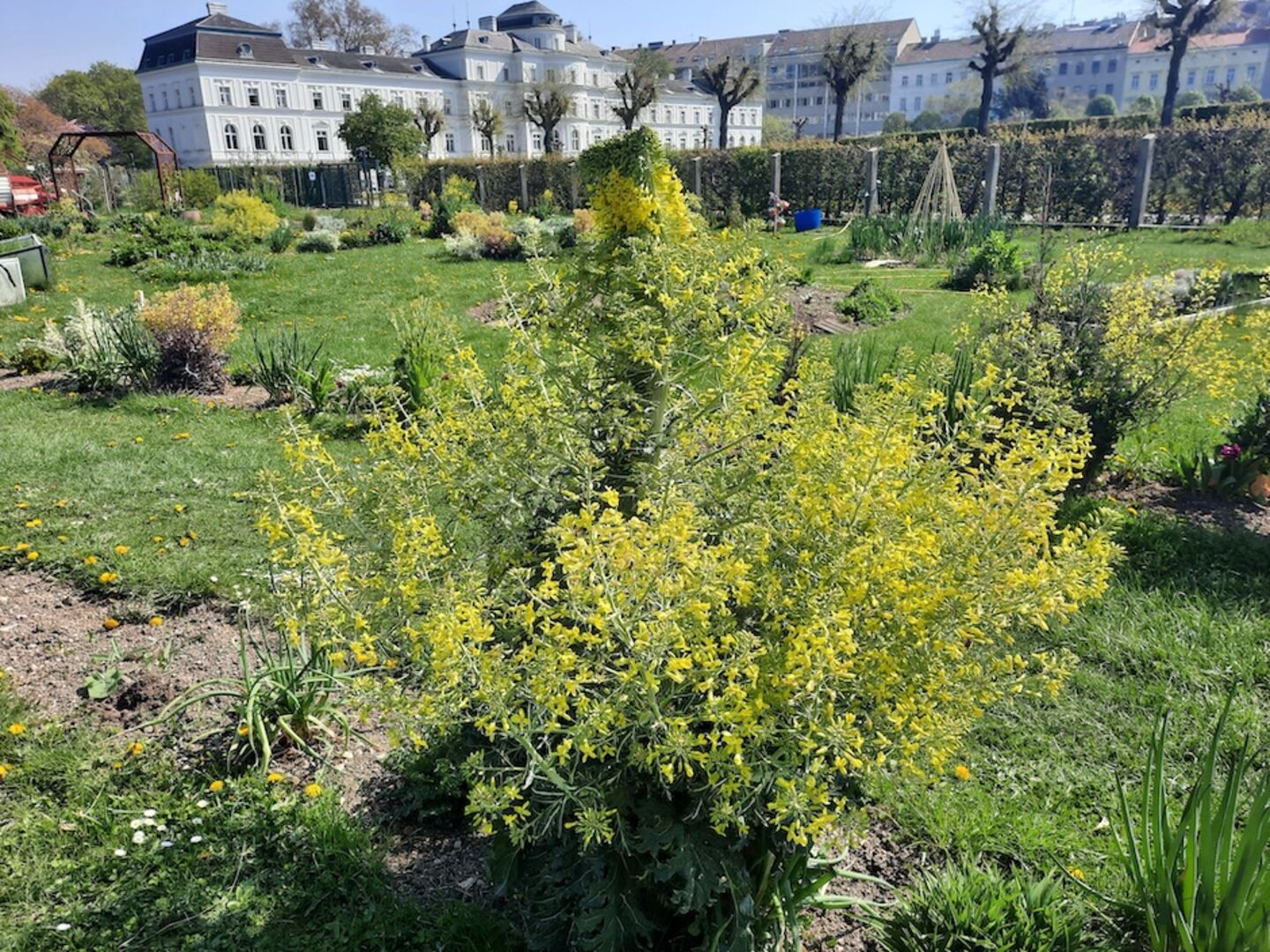 City Farm